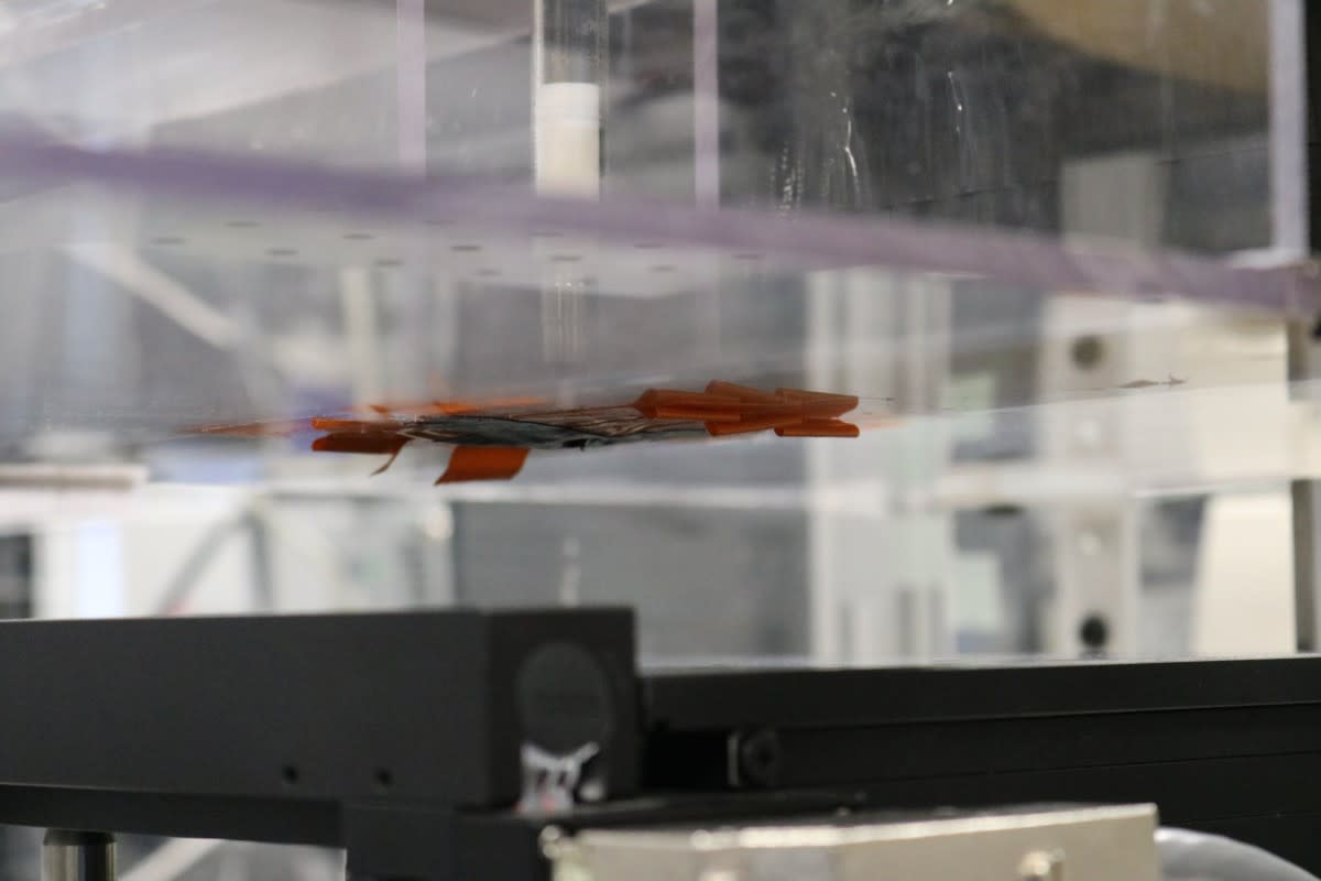 Close-up image of the honeydripper-style nozzle
