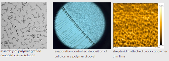 Examples of Pinar's research