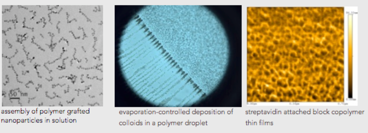 Examples of Pinar's research