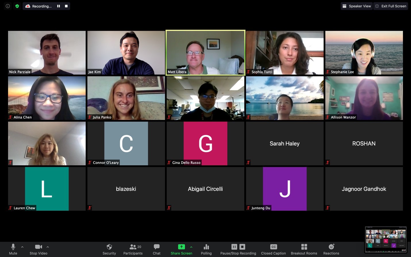 Screenshot of Zoom conference of Summer Research Project participants