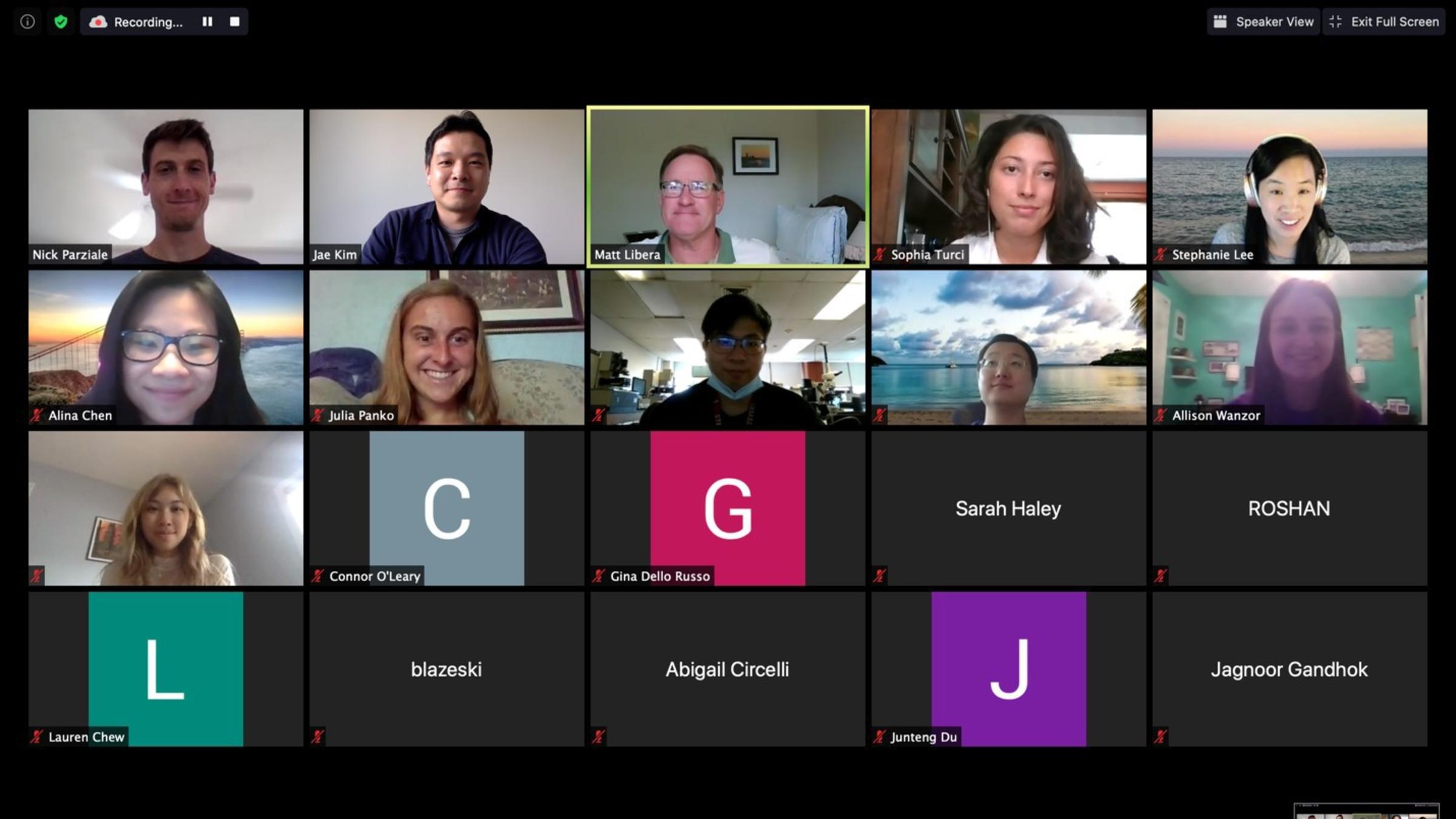 Screenshot of Zoom conference of Summer Research Project participants