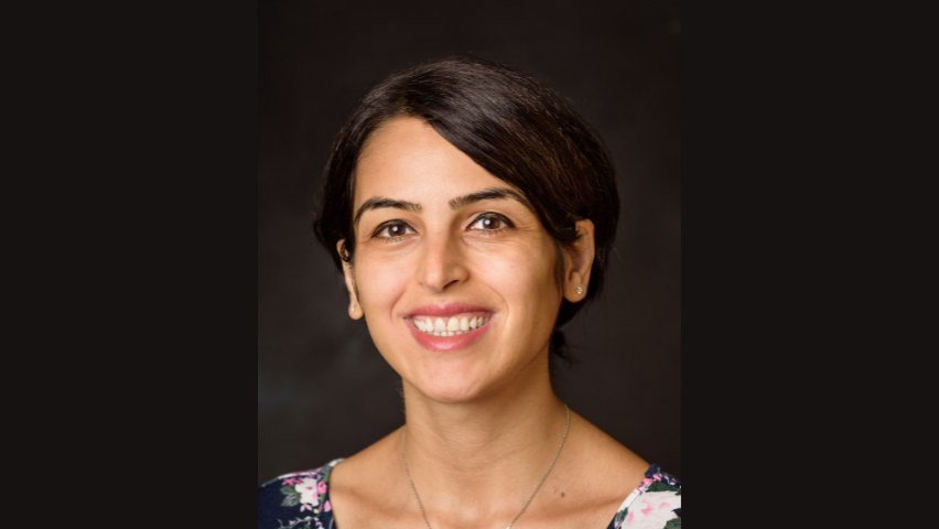 Photo of Negar Tavassolian