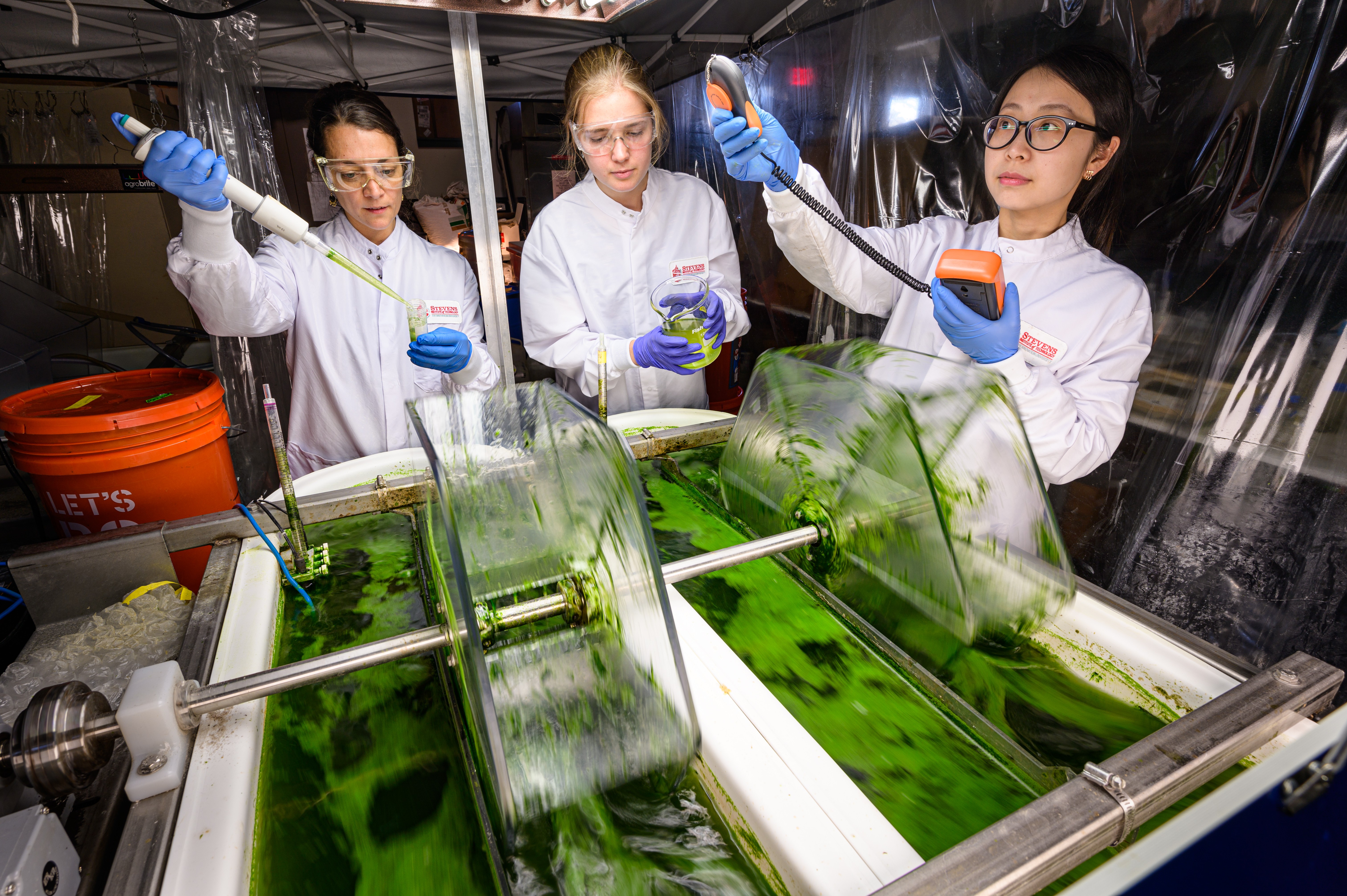 Image of three researchers conducting experiments on two tubs of algae.