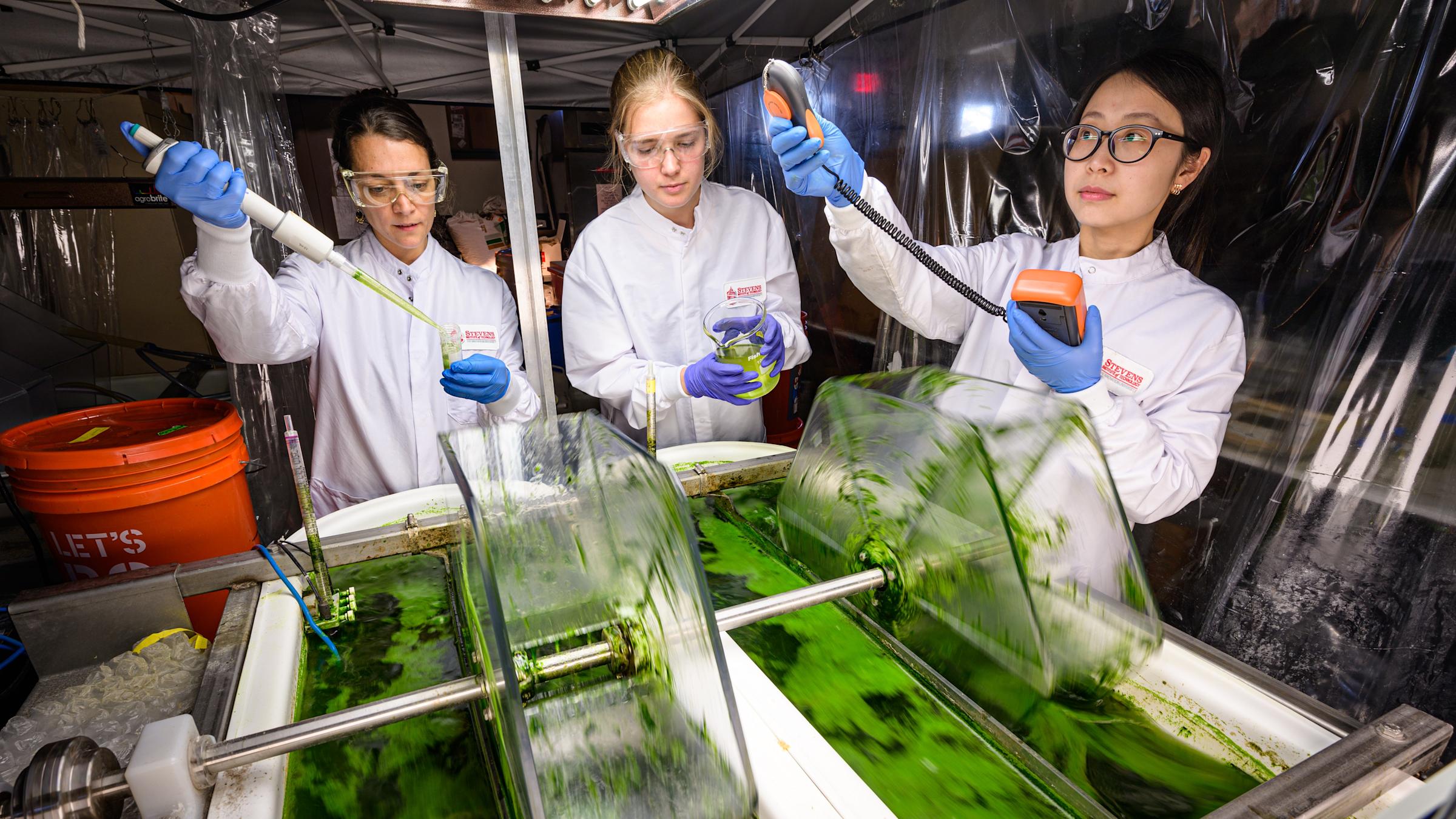 Image of three researchers conducting experiments on two tubs of algae.