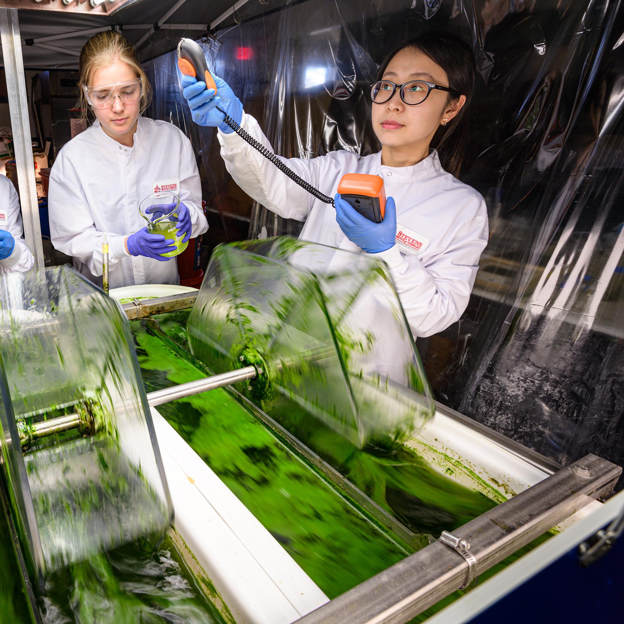 Image of three researchers conducting experiments on two tubs of algae.