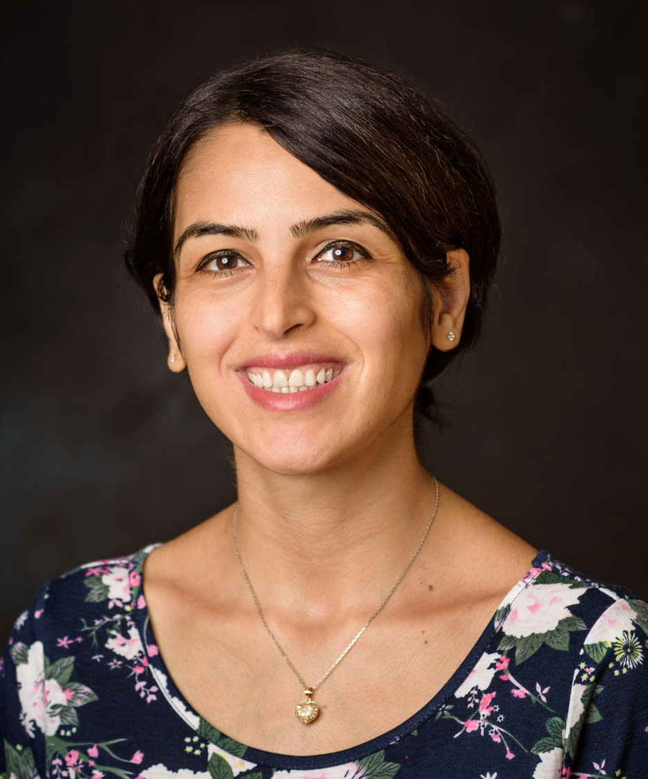 Professor Negar Ebadi