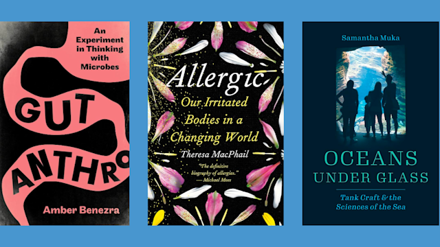 Three Book Covers: 'Gut Anthro: An Experiment in Thinking with Microbes,' by Amber Benezra, 'Allergic: Our Irritated Bodies in a Changing World," by Theresa MacPhail, and