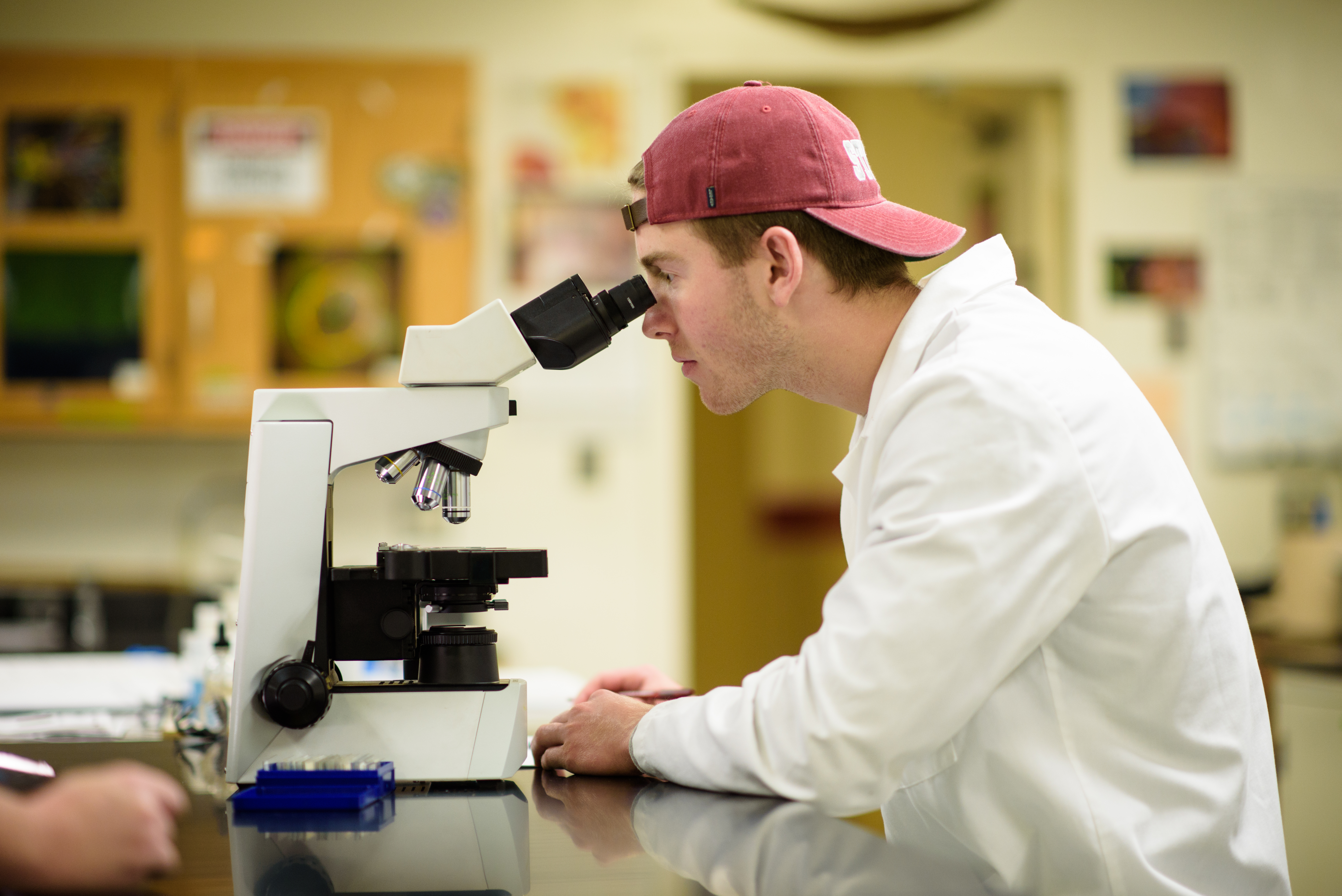 A male student in a lab looking through a microscope