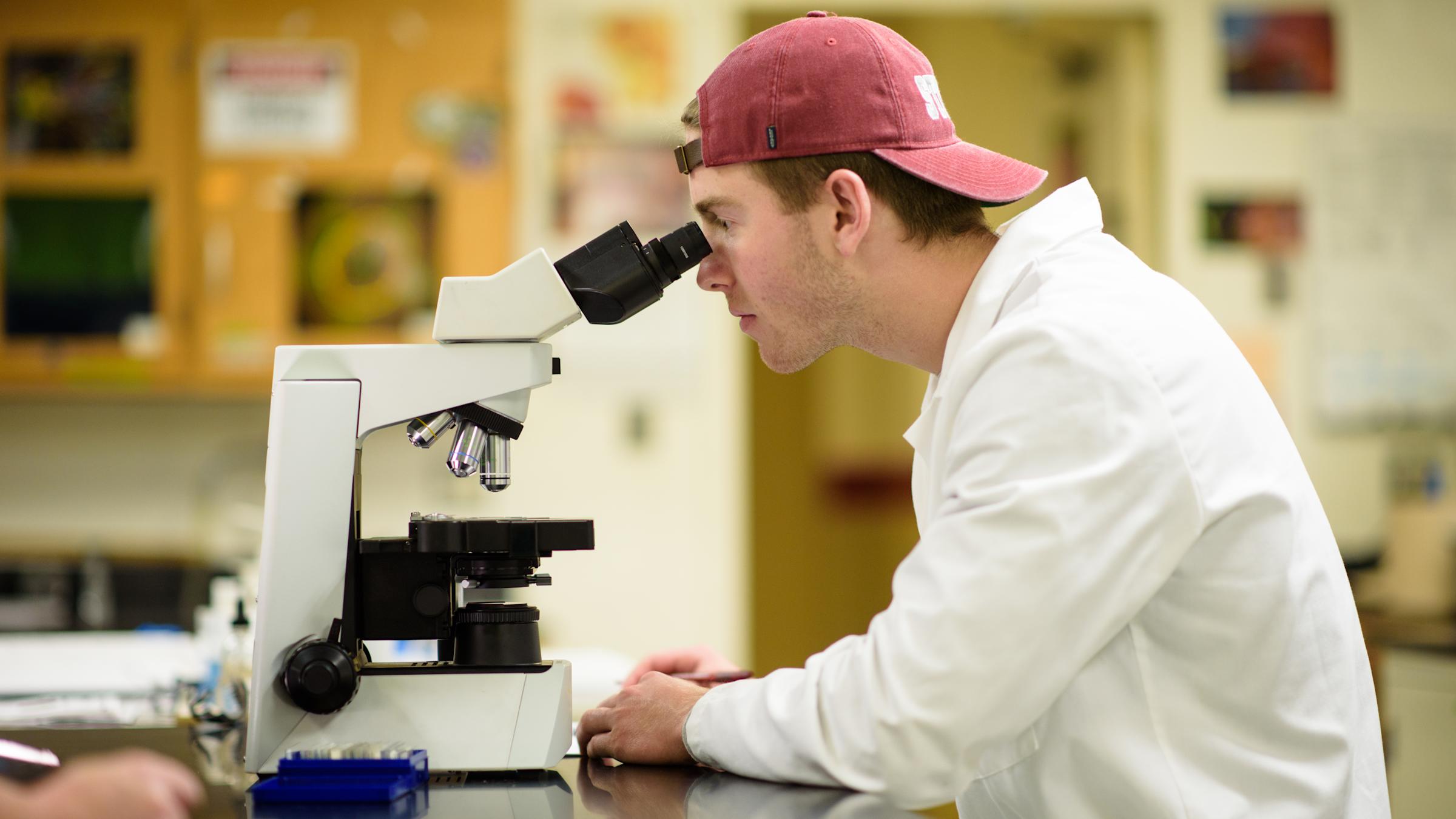 A male student in a lab looking through a microscope