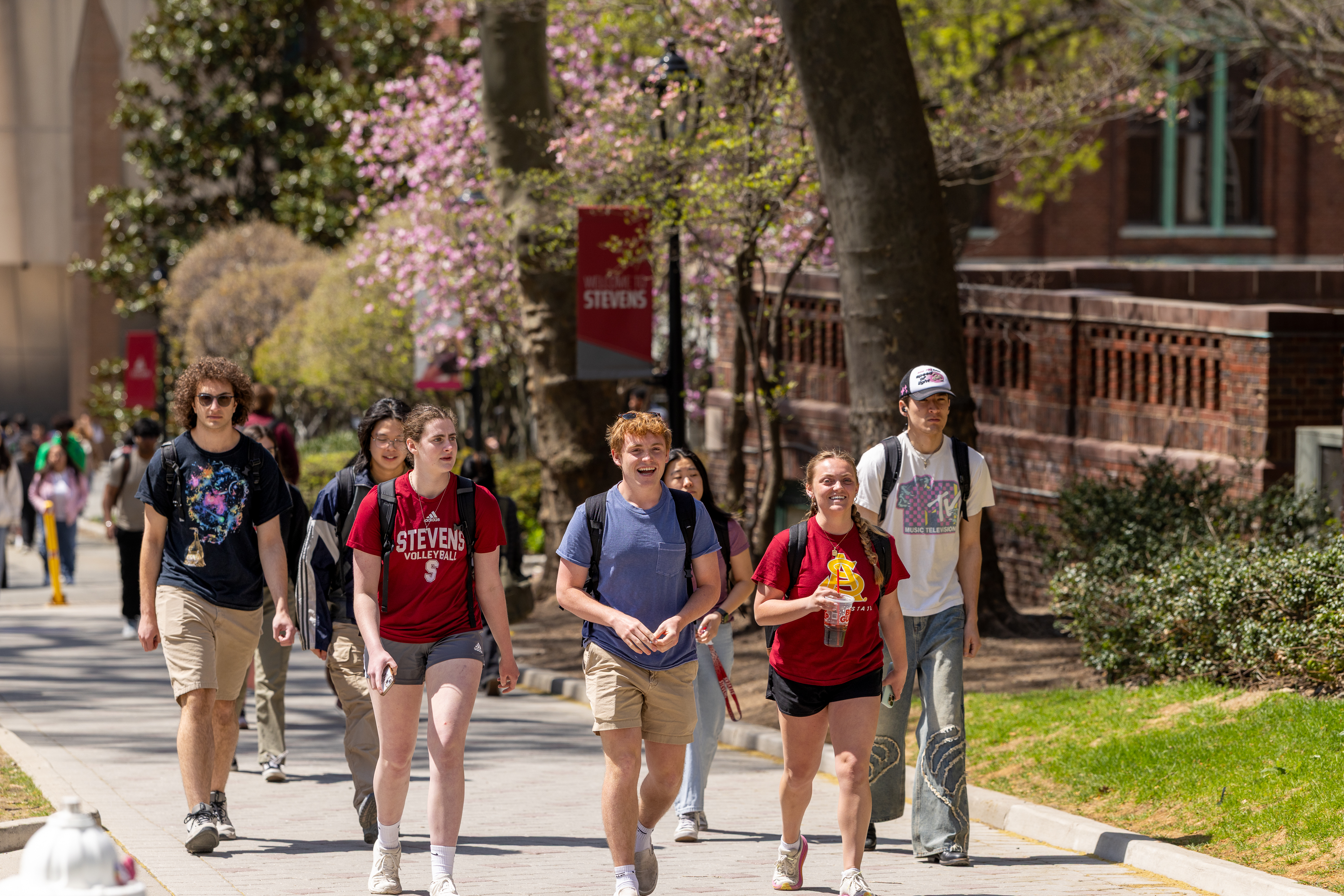 Several students walking up a path on campus.