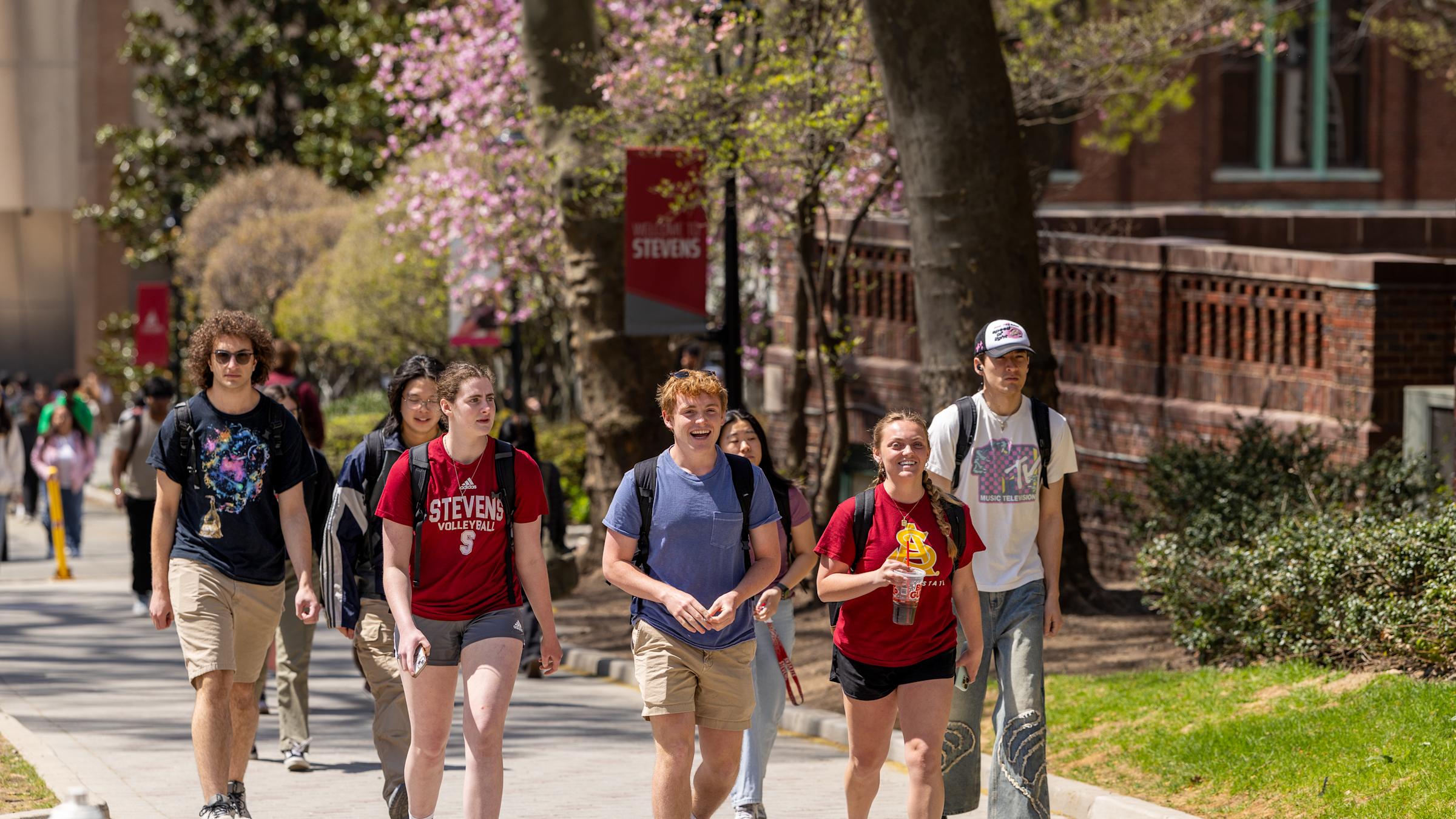 Several students walking up a path on campus.