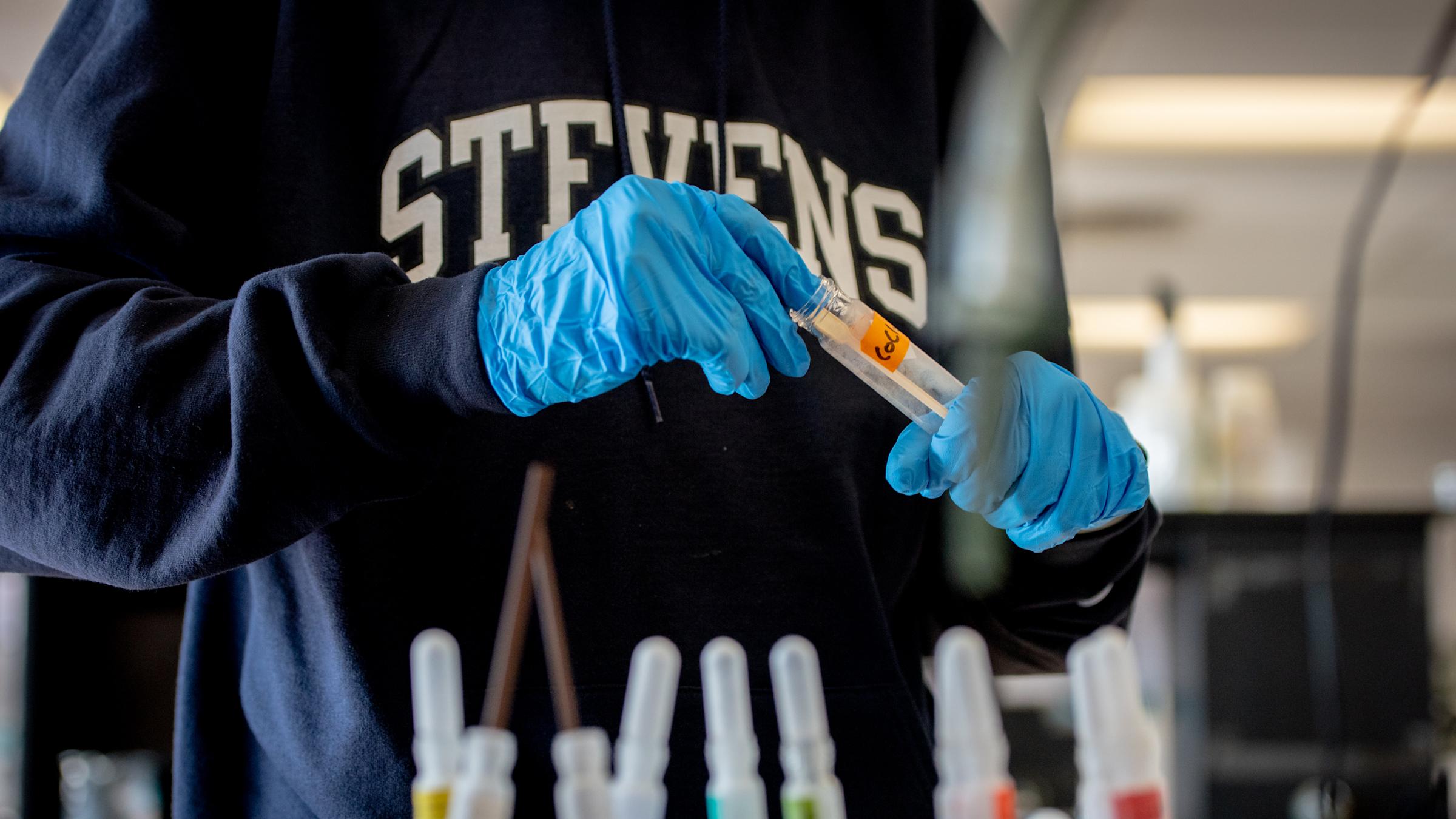 A chest-down image of a student with a STEVENS sweatshirt on working with test tubes while wearing gloves.