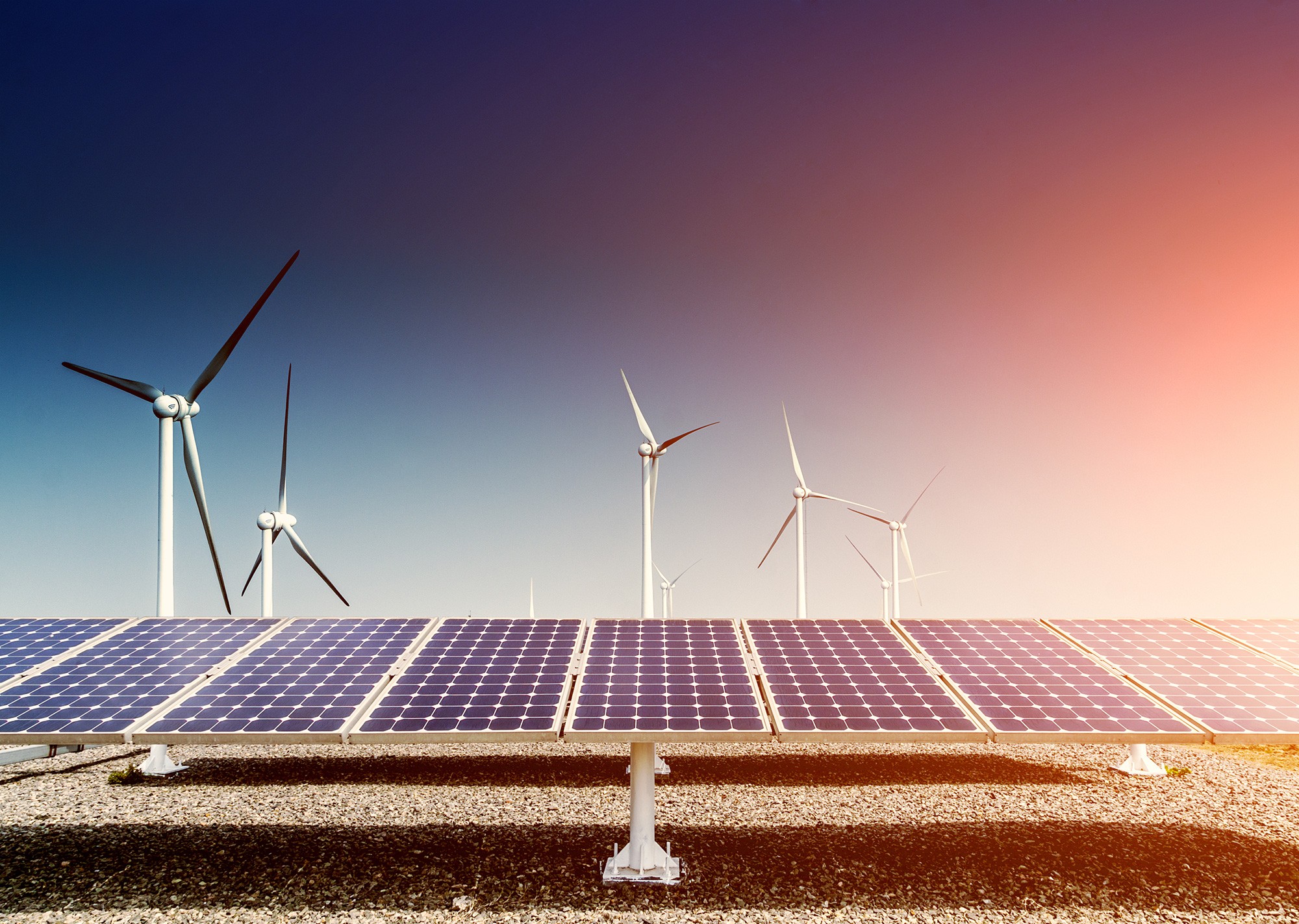 Resilience & Sustainability