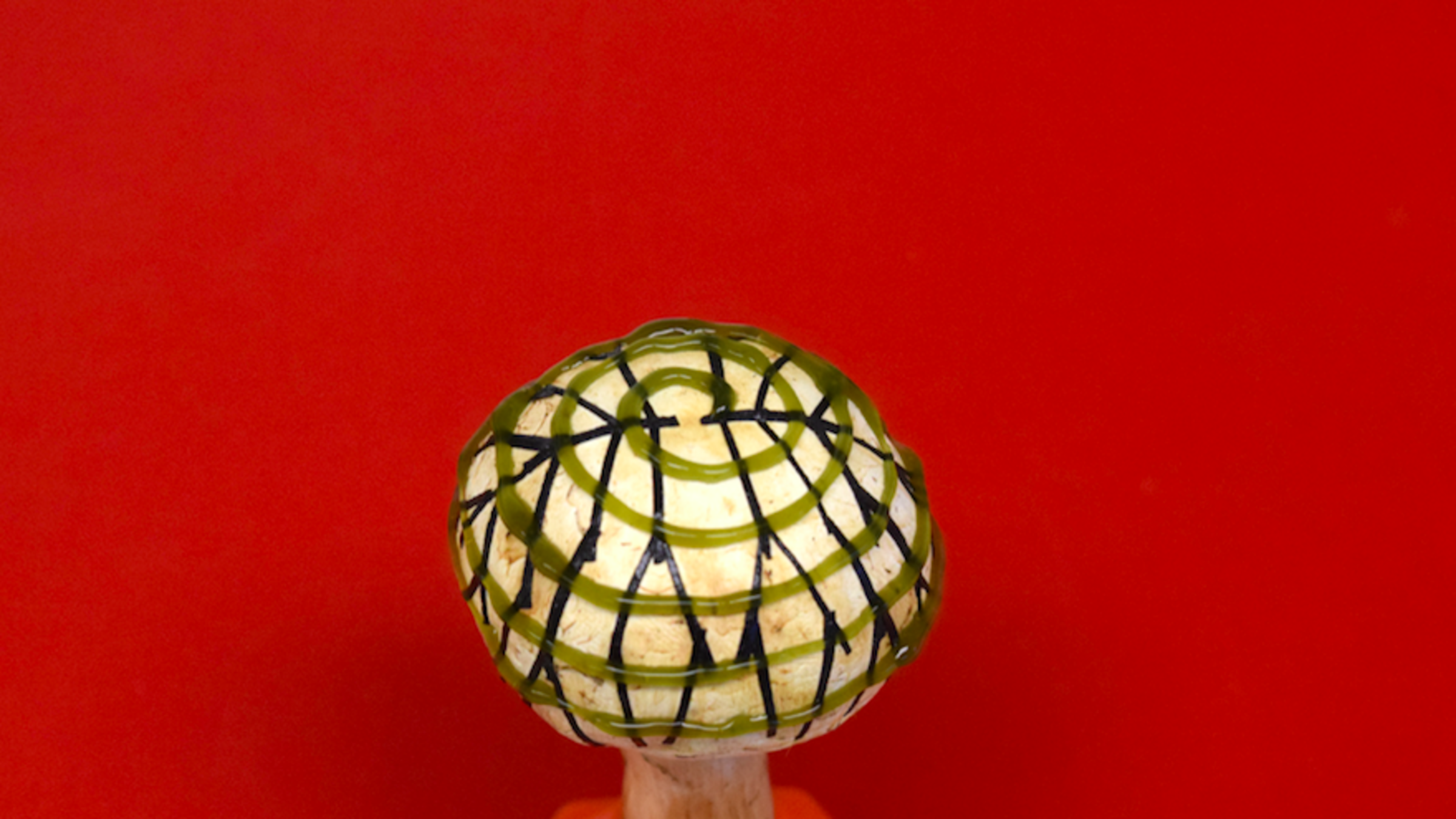 1c6be1bfa2ef32ba8b767c99c14b22e0