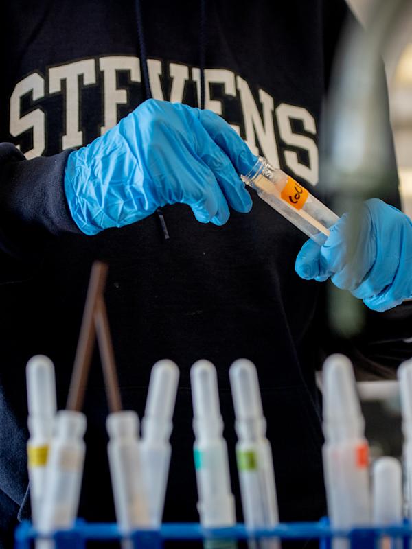 Student in a Stevens sweatshirt handling test tubes in a lab.