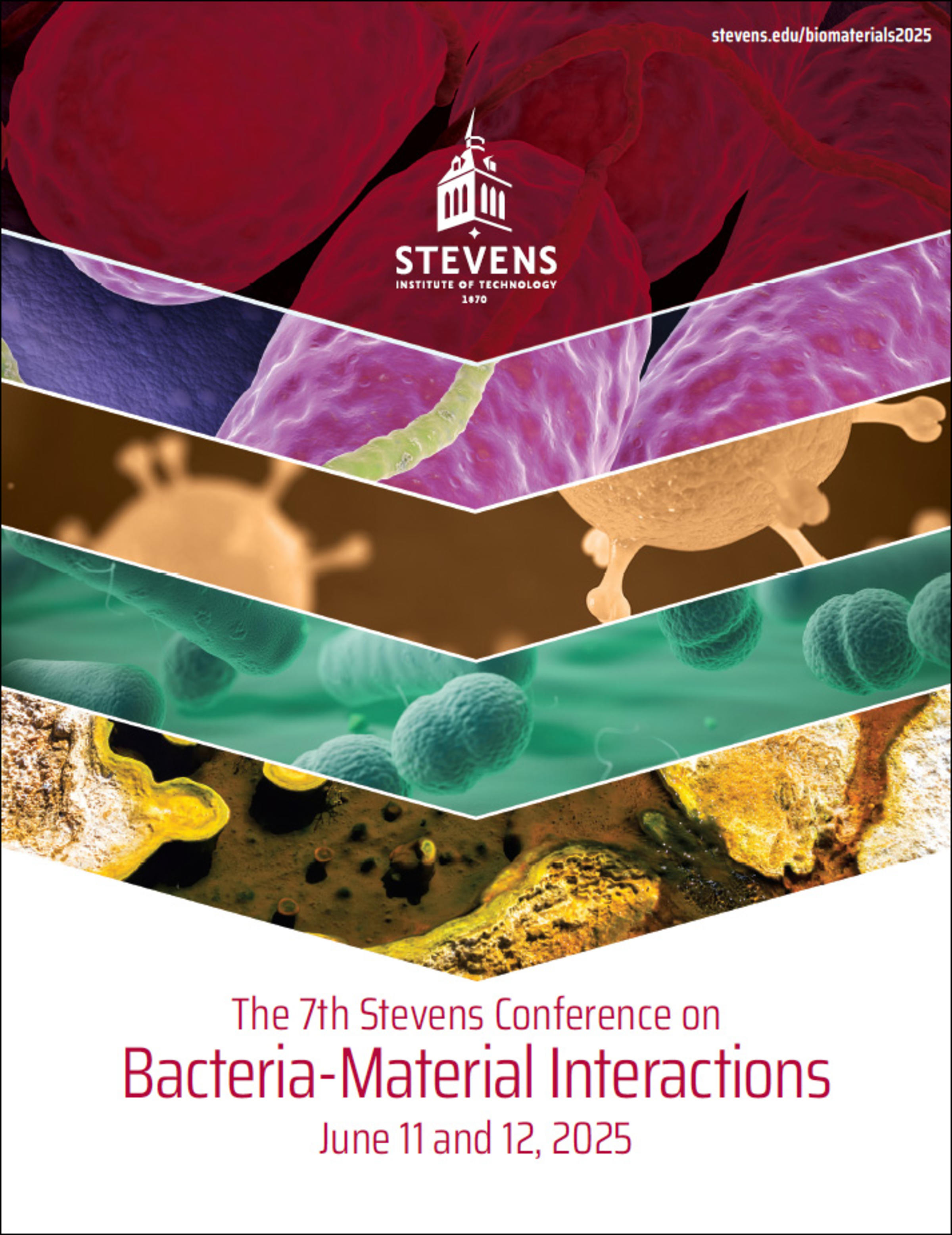 Bacterial Material Interaction Conference 2025 cover.