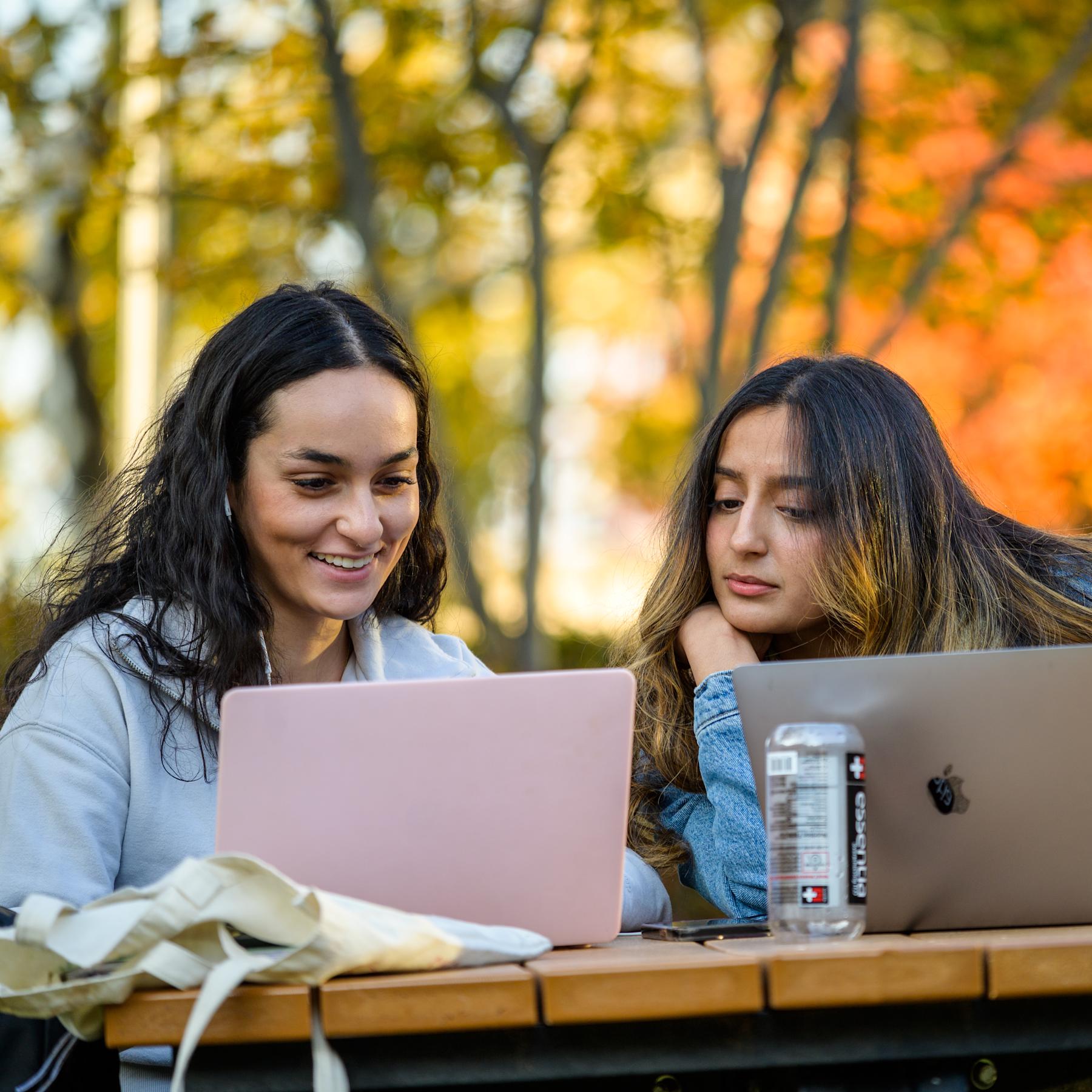 Students view their laptops outdoors.