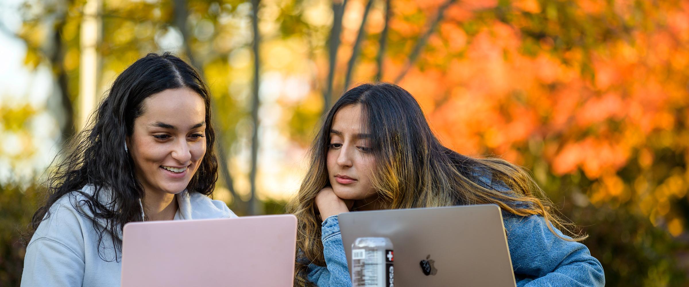Students view their laptops outdoors.