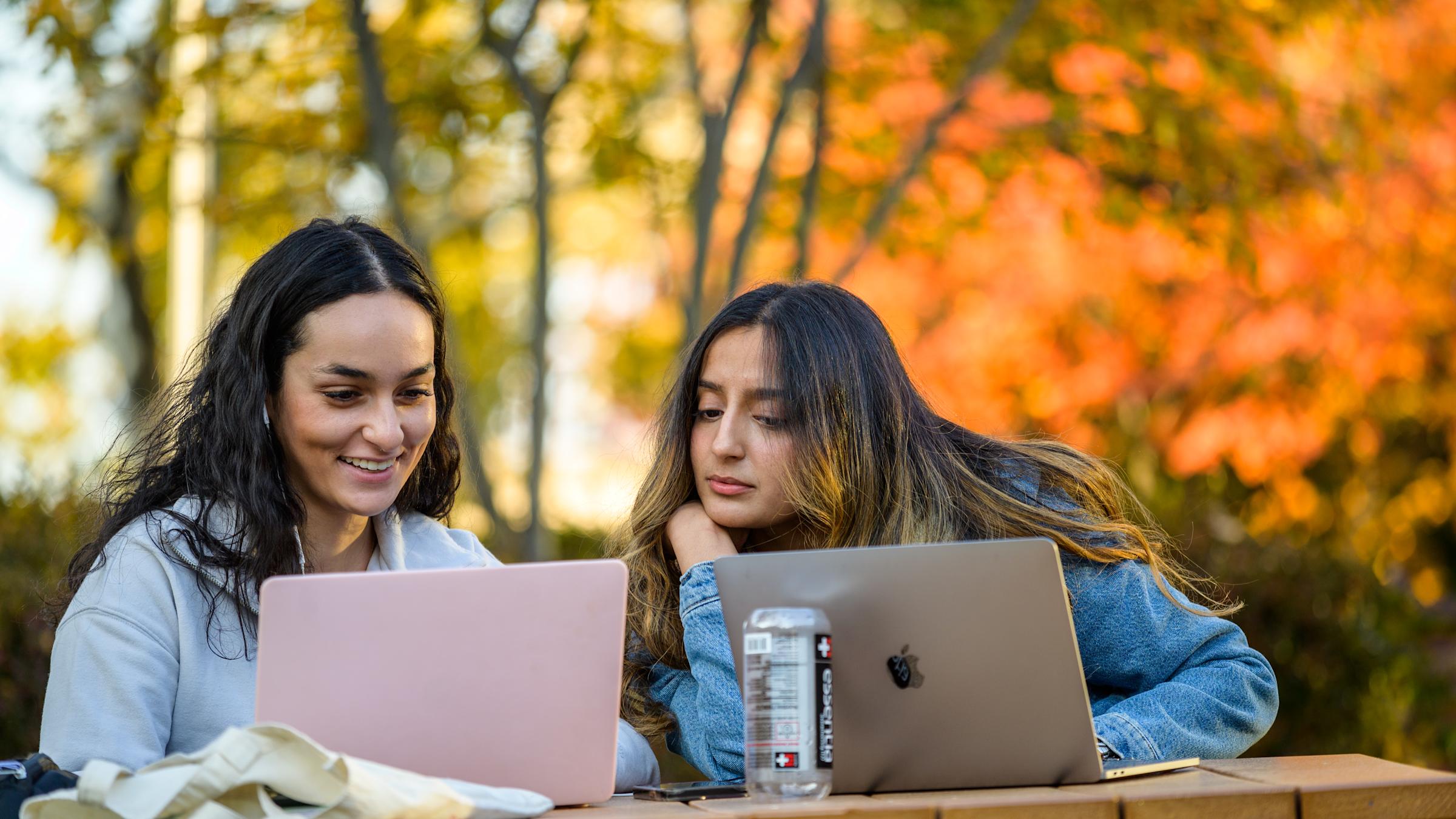 Students view their laptops outdoors.