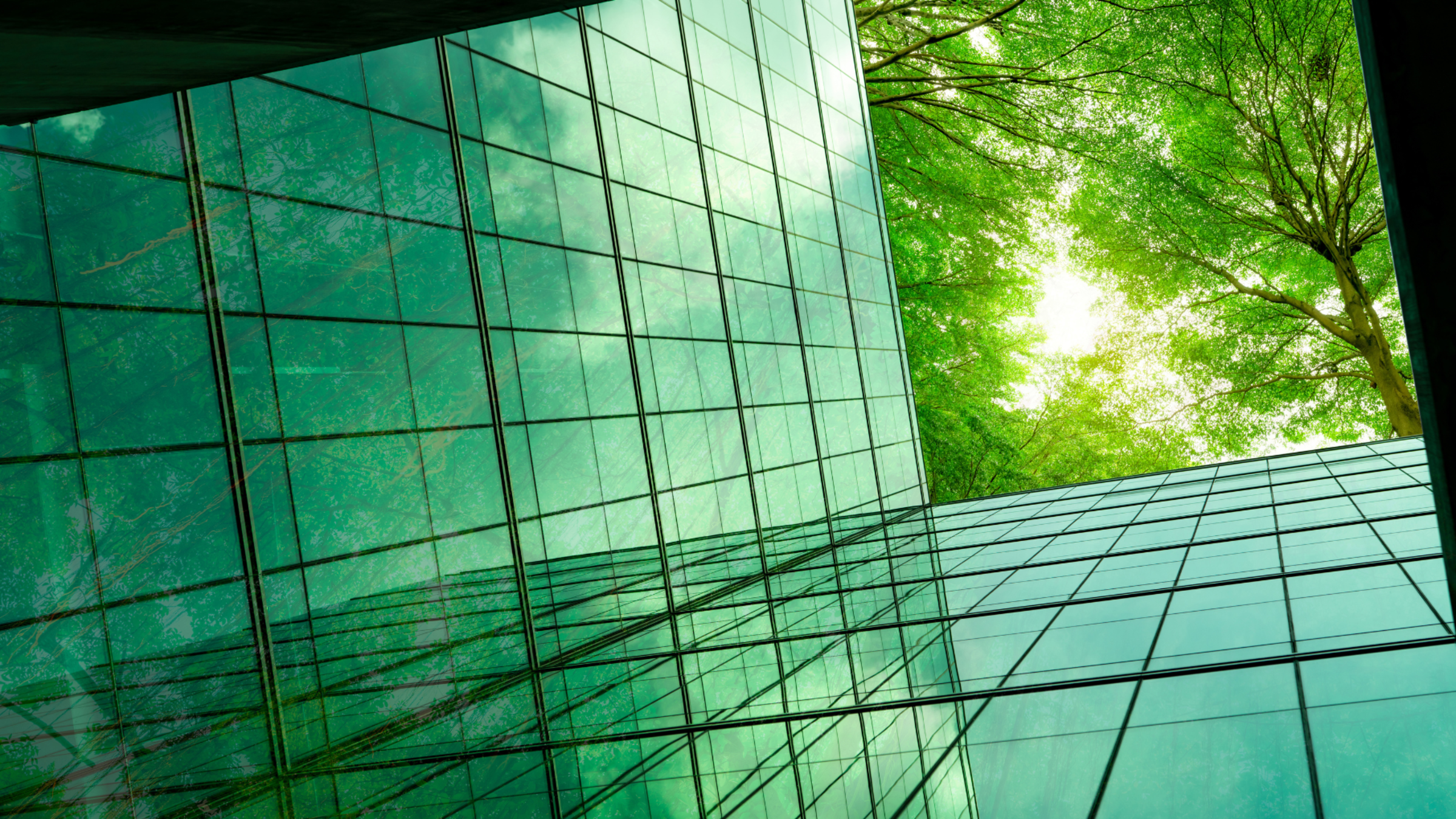 low-angle shot of a glass building, trees and the sky