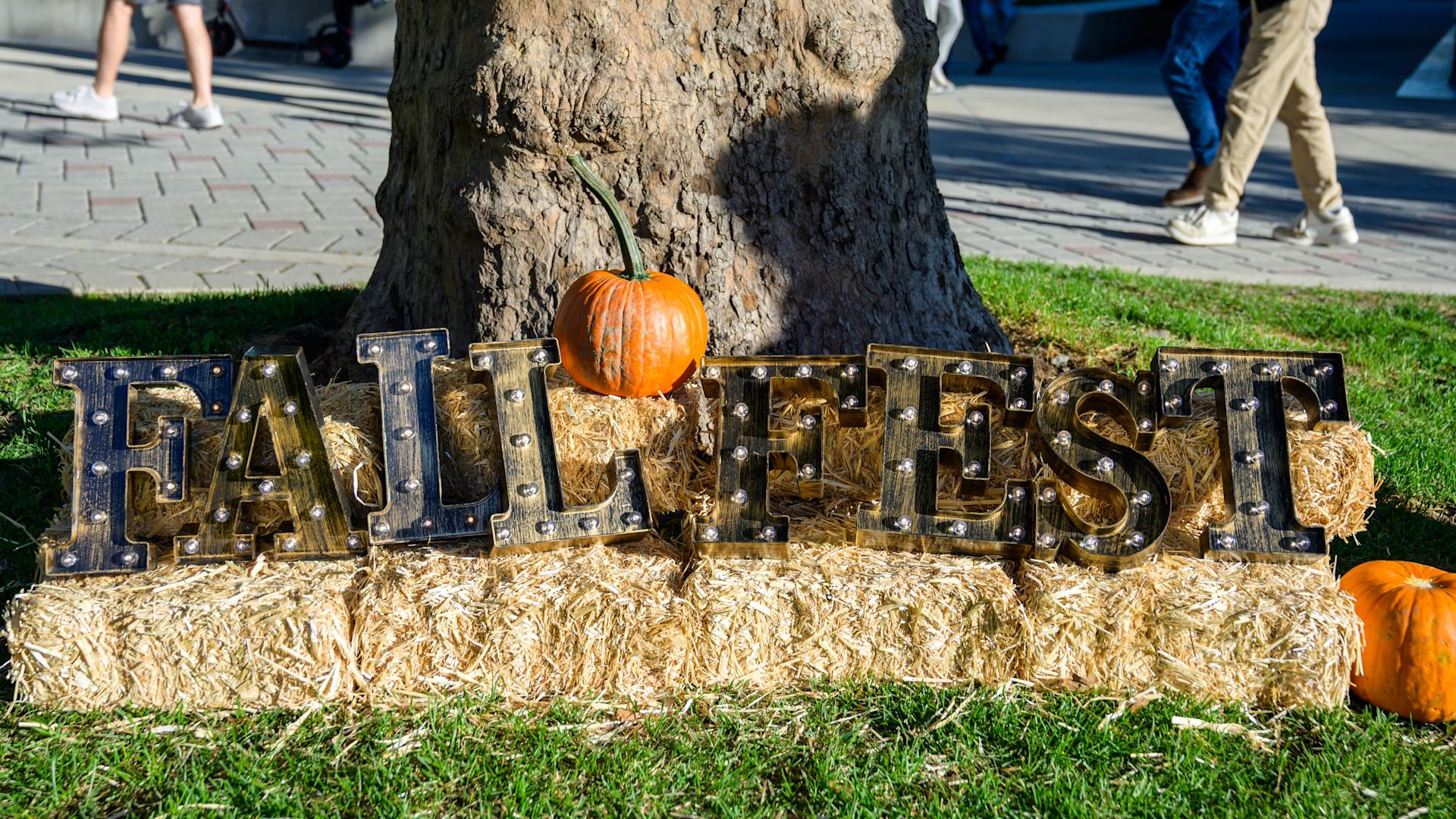 Fall Fest