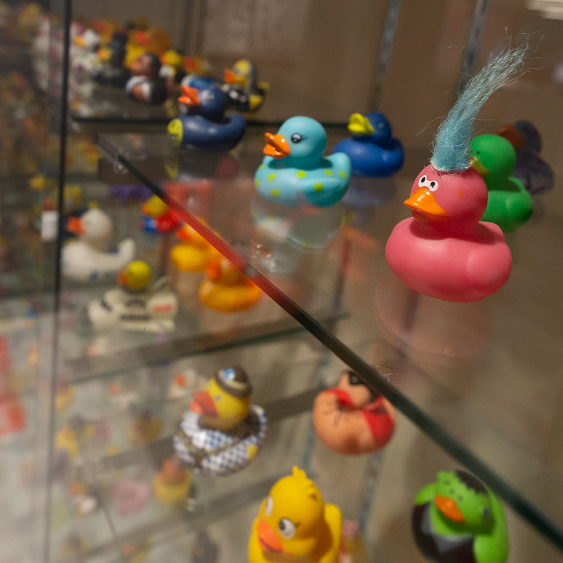 Large array of colorful ducks.