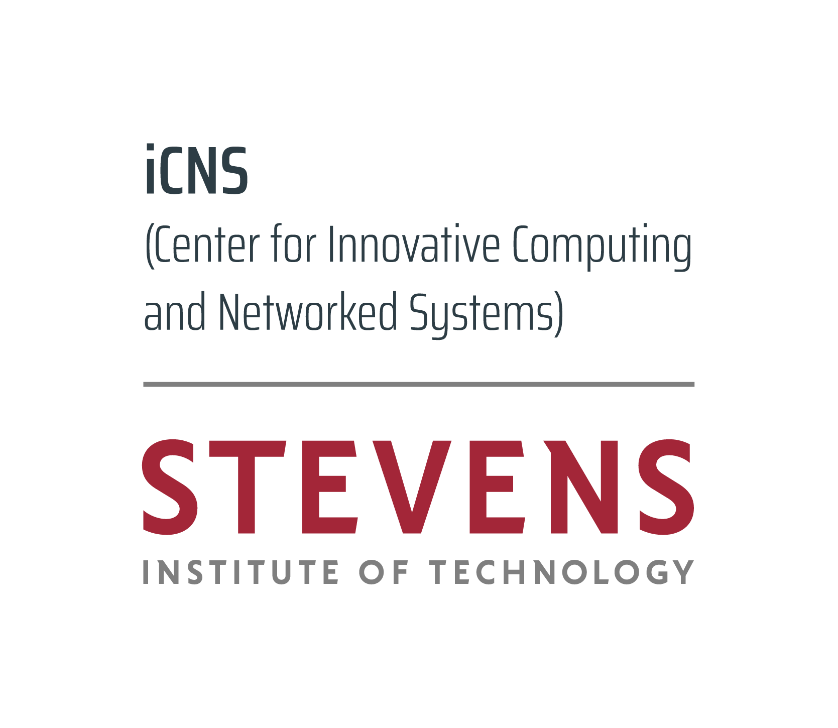 Center for Innovative Computing and Networked Systems logo | Stevens Institute of Technology