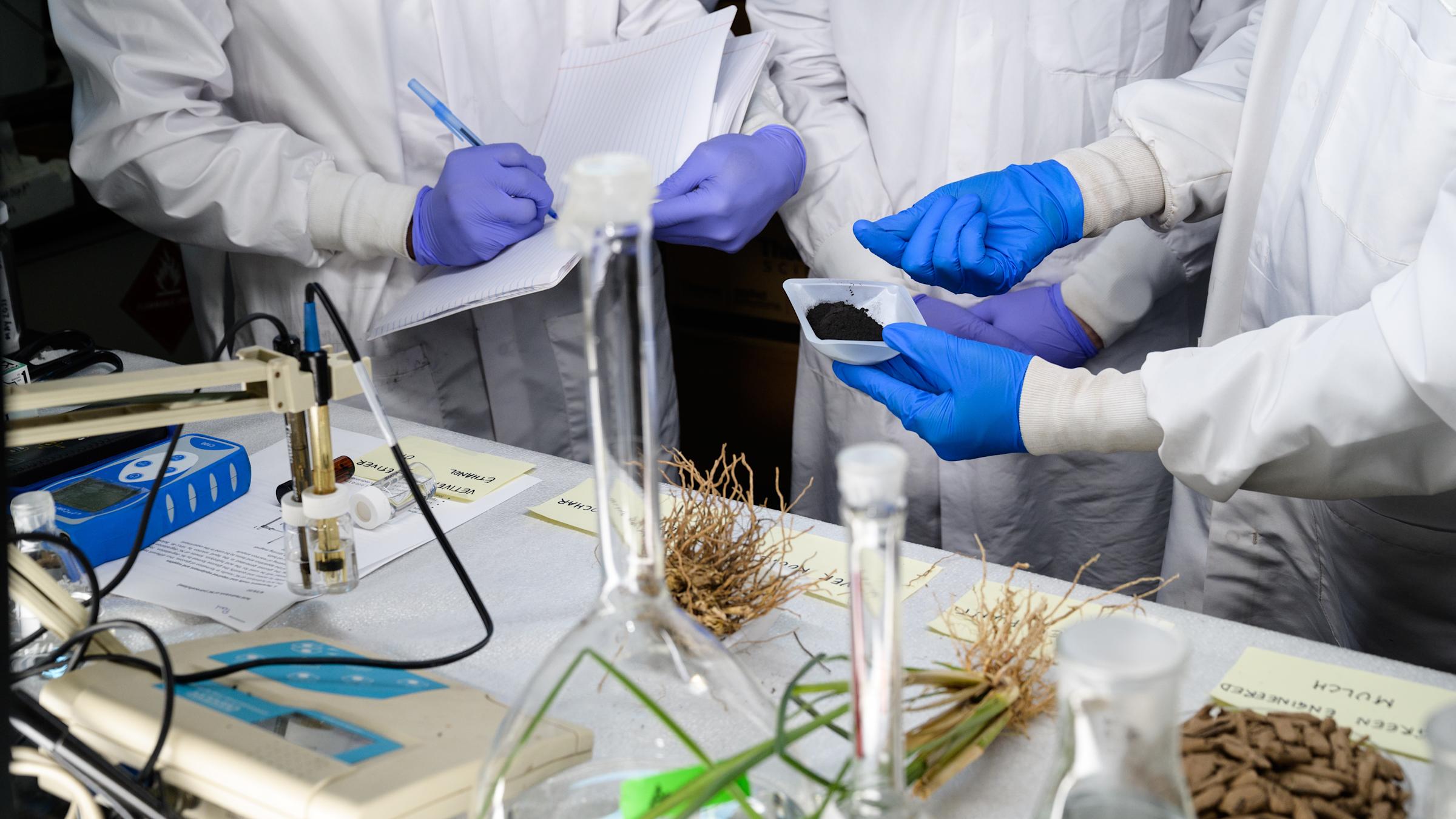 Lab technicians working with organic material