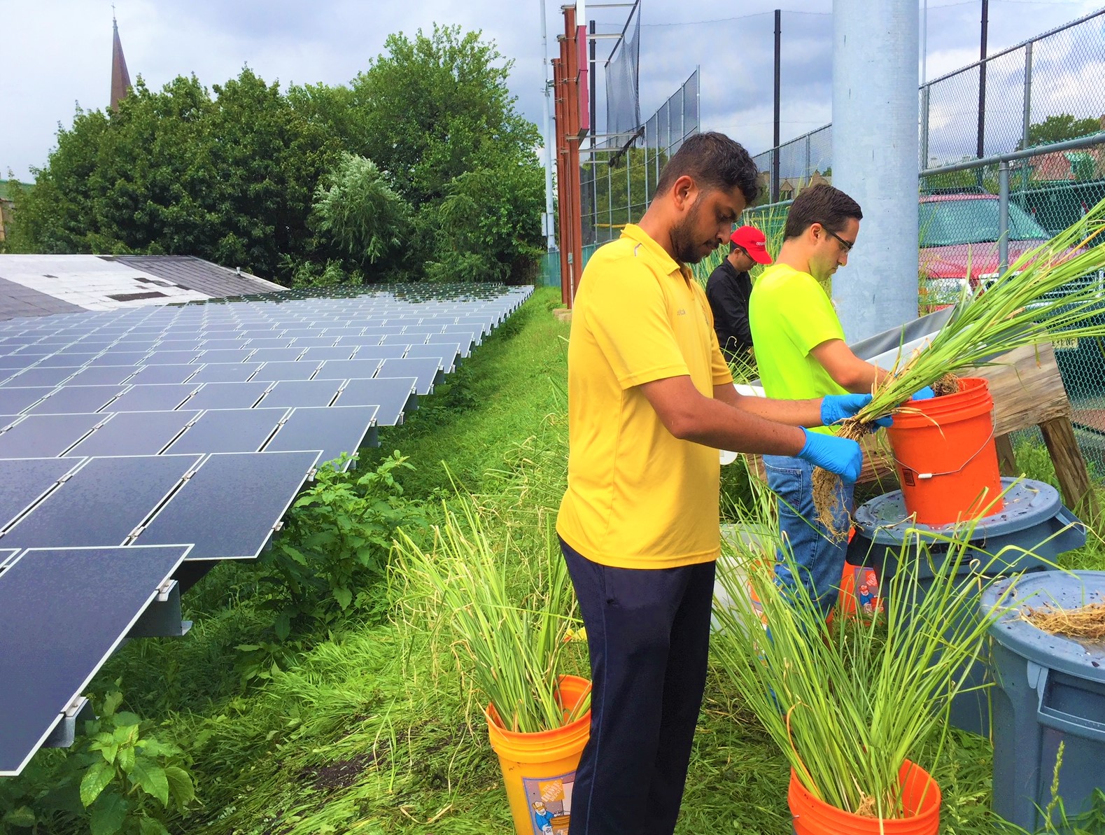 students preparing to plant 