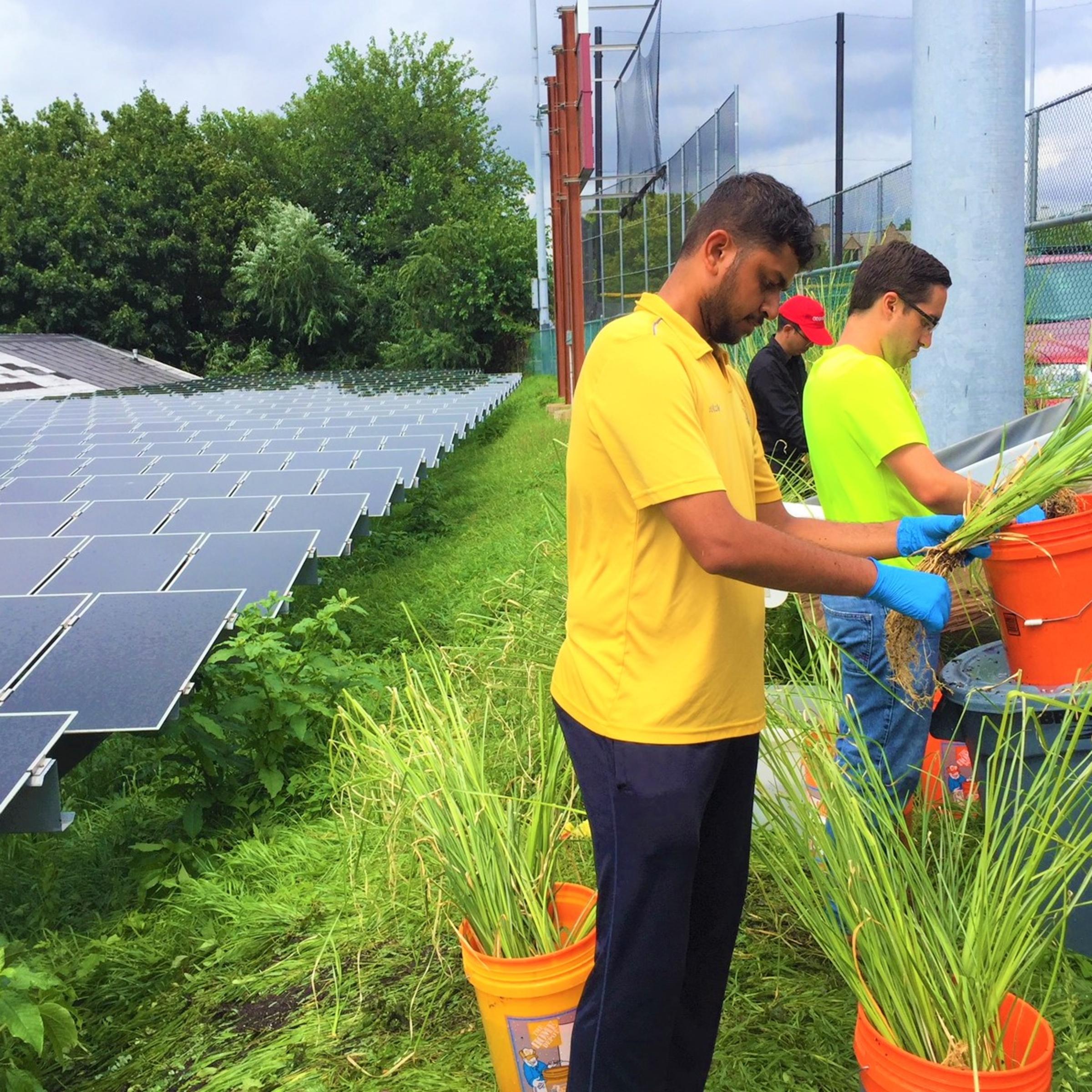 students preparing to plant