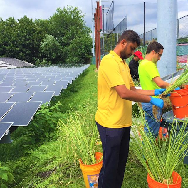 students preparing to plant