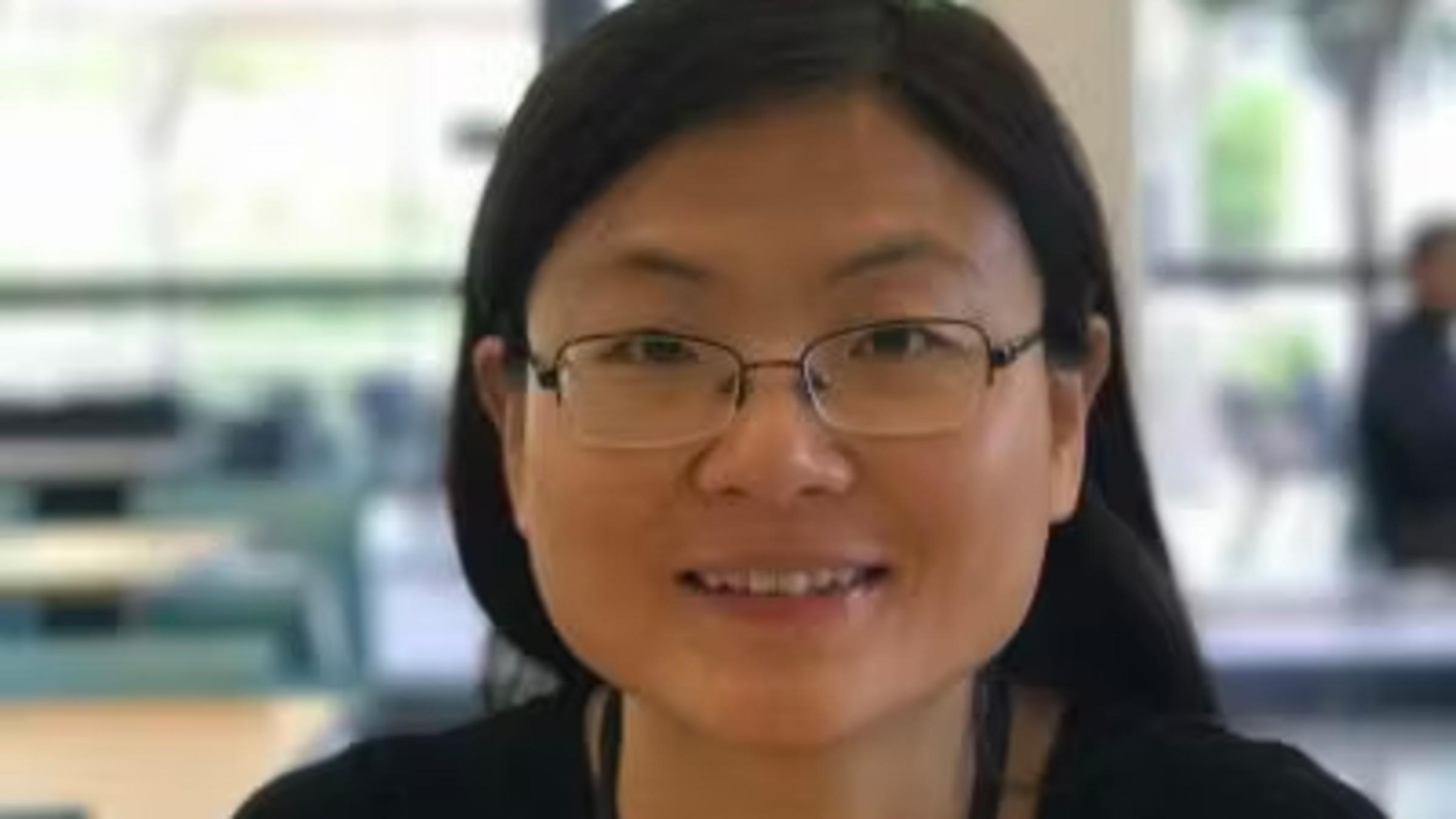 Dr. Ying Wang, Associate Professor of Systems and Enterprises