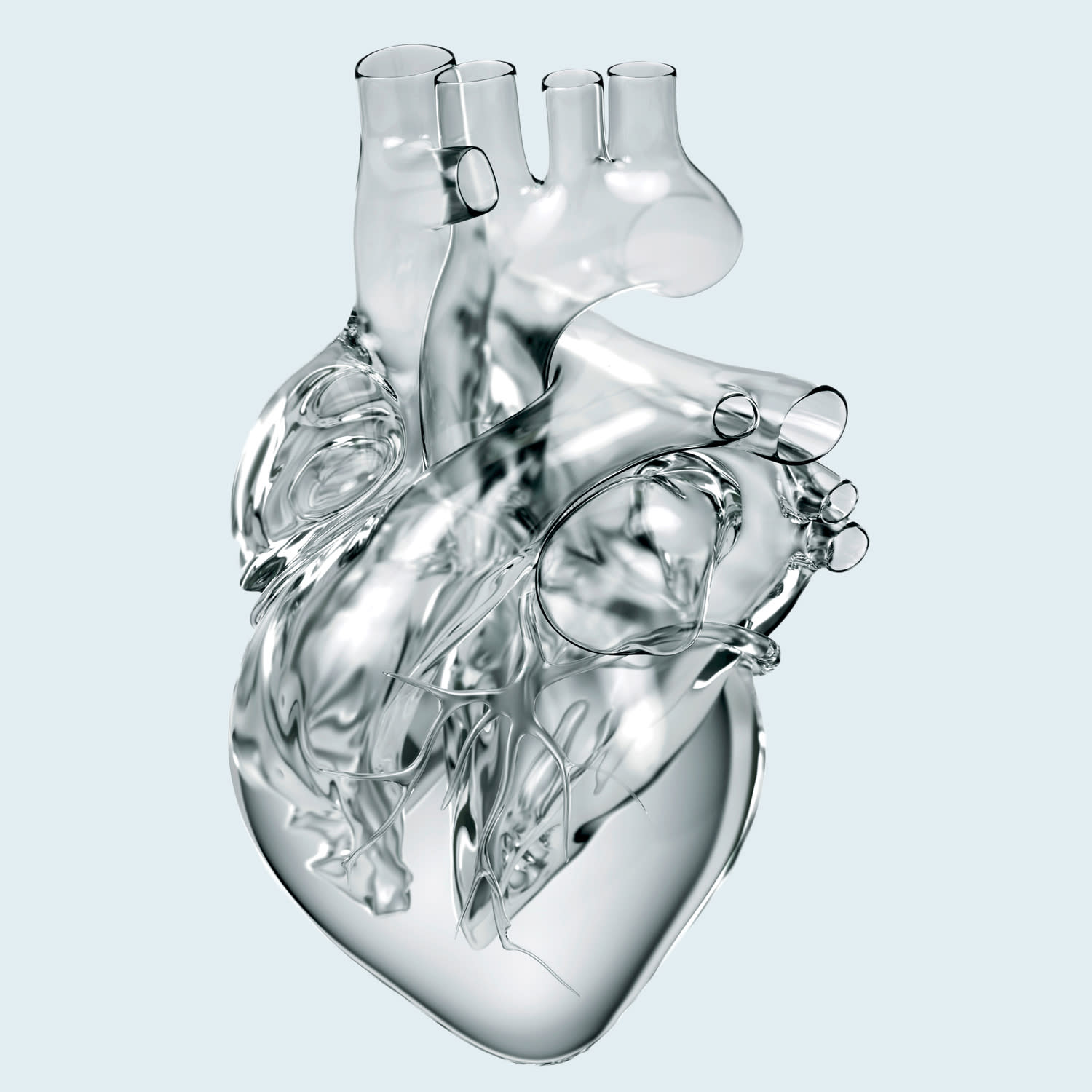 A heart