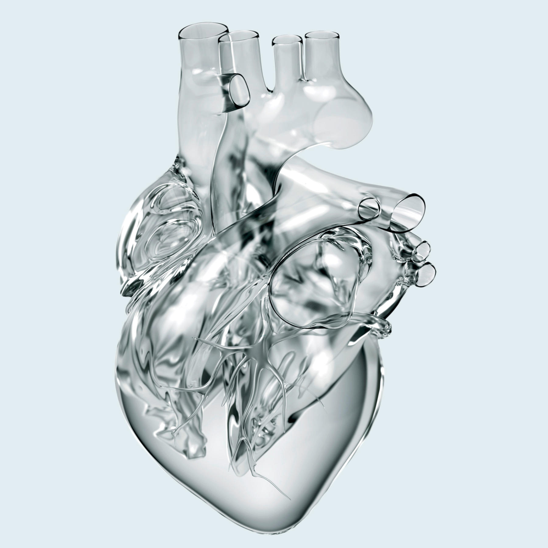 A heart