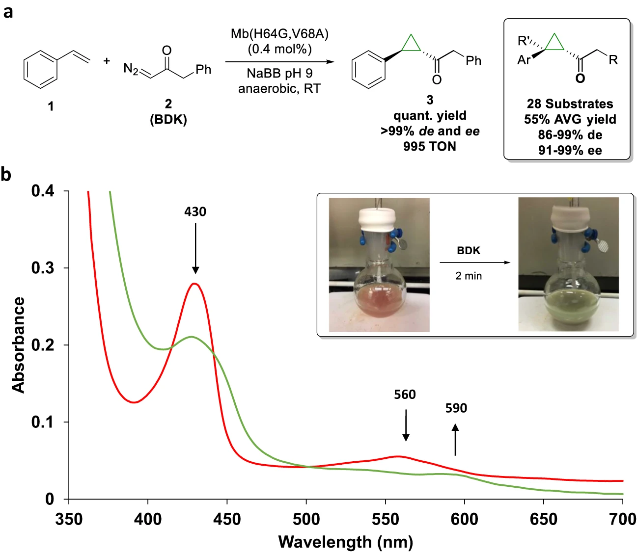 Hemoprotein catalysis is way more complicated than we thought