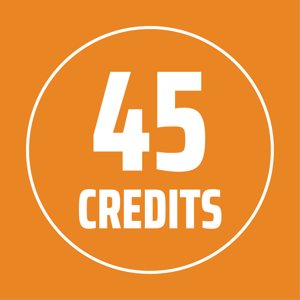 Stevens MBA 45 Credits Icon