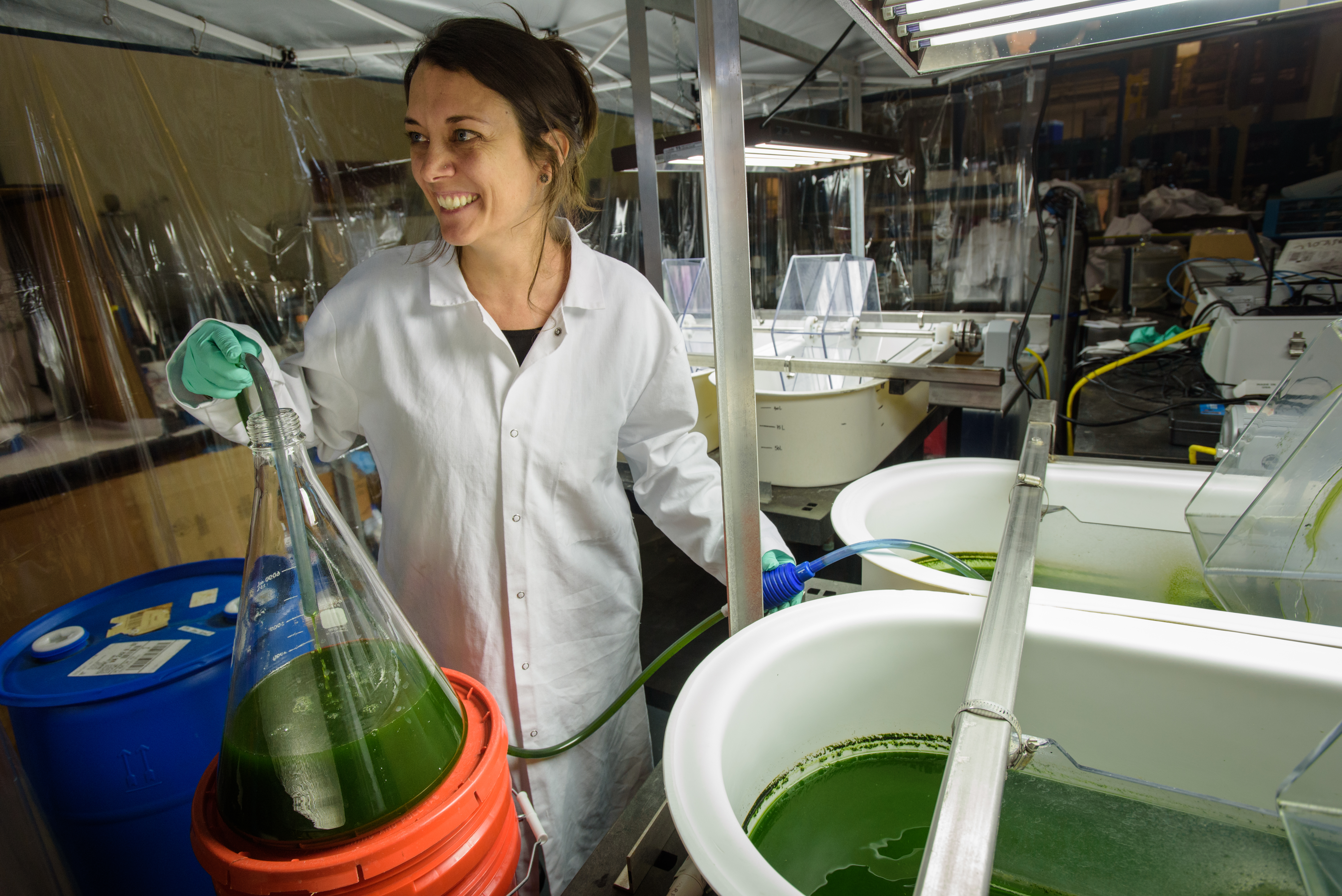 lab student transferring green liquid from a container to a tub