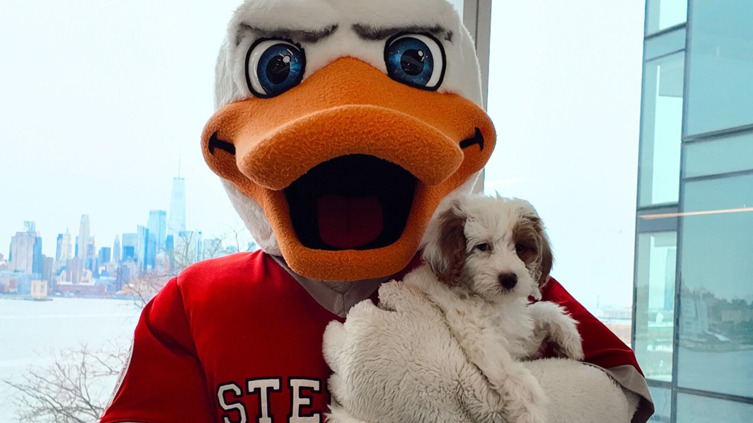 A duck mascot holds a puppy