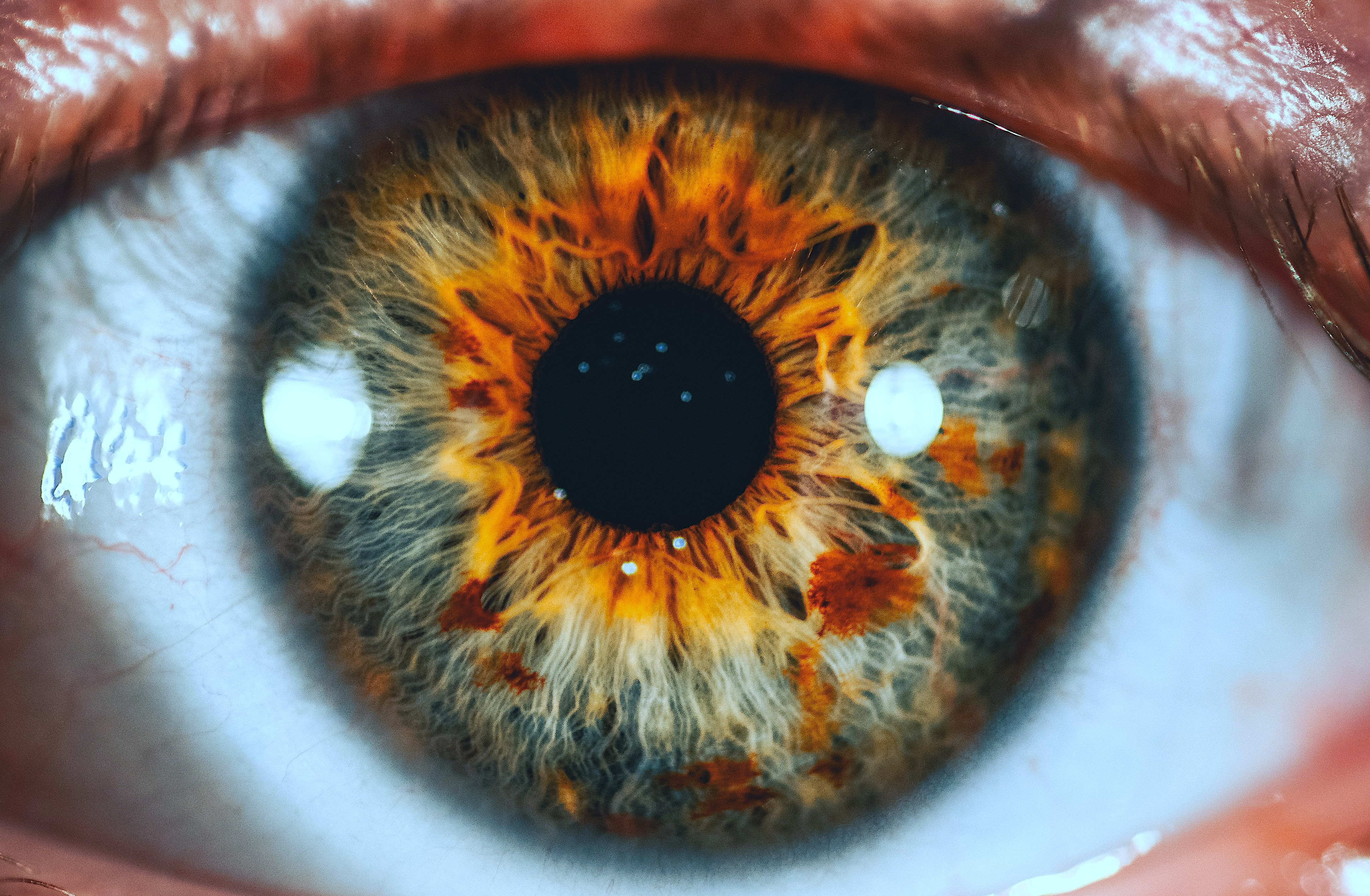 Closeup of a human eye