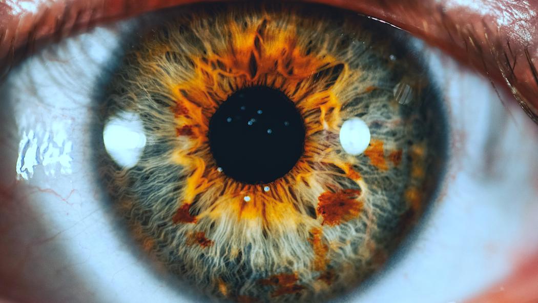 Closeup of a human eye