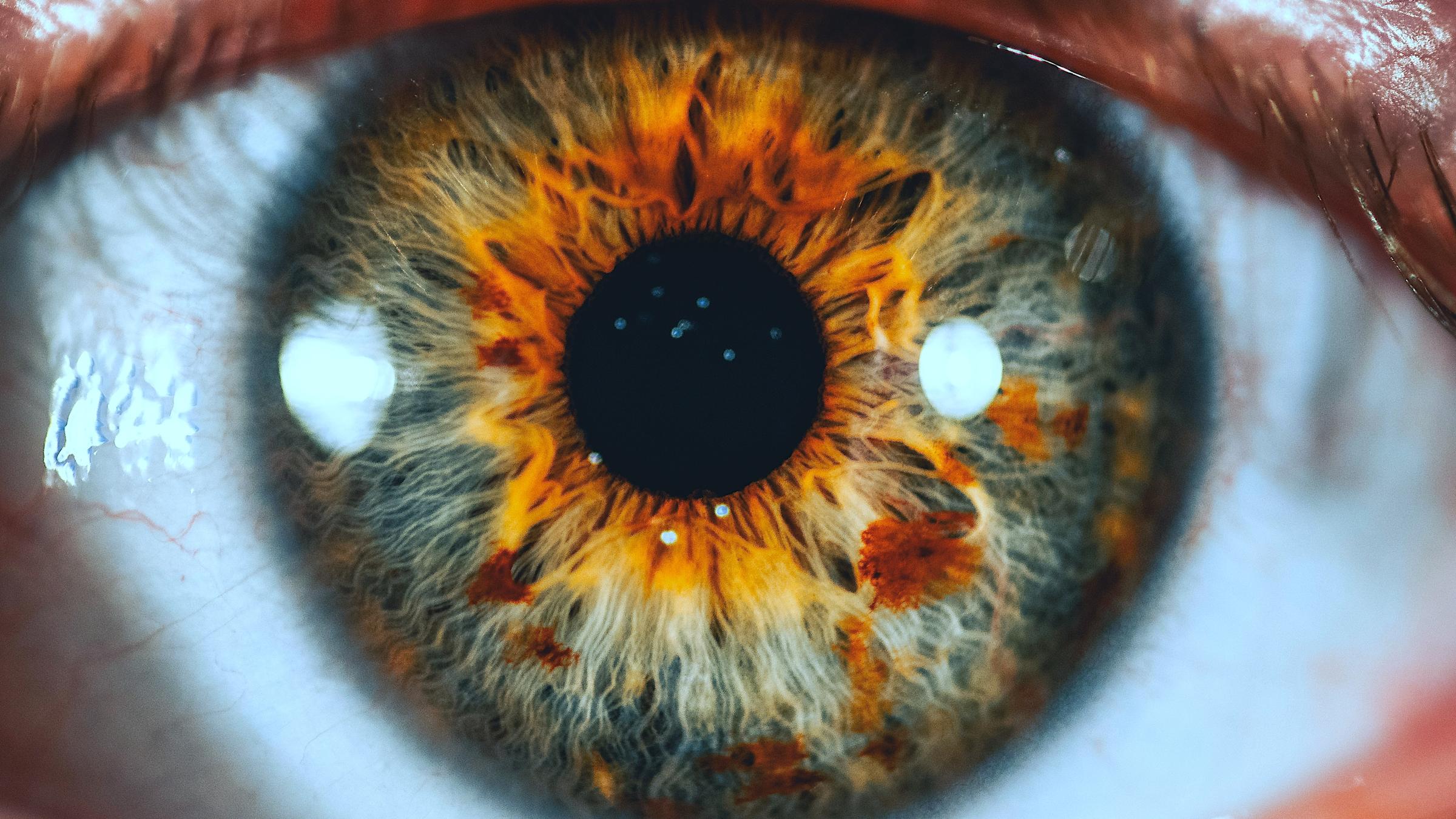 Closeup of a human eye