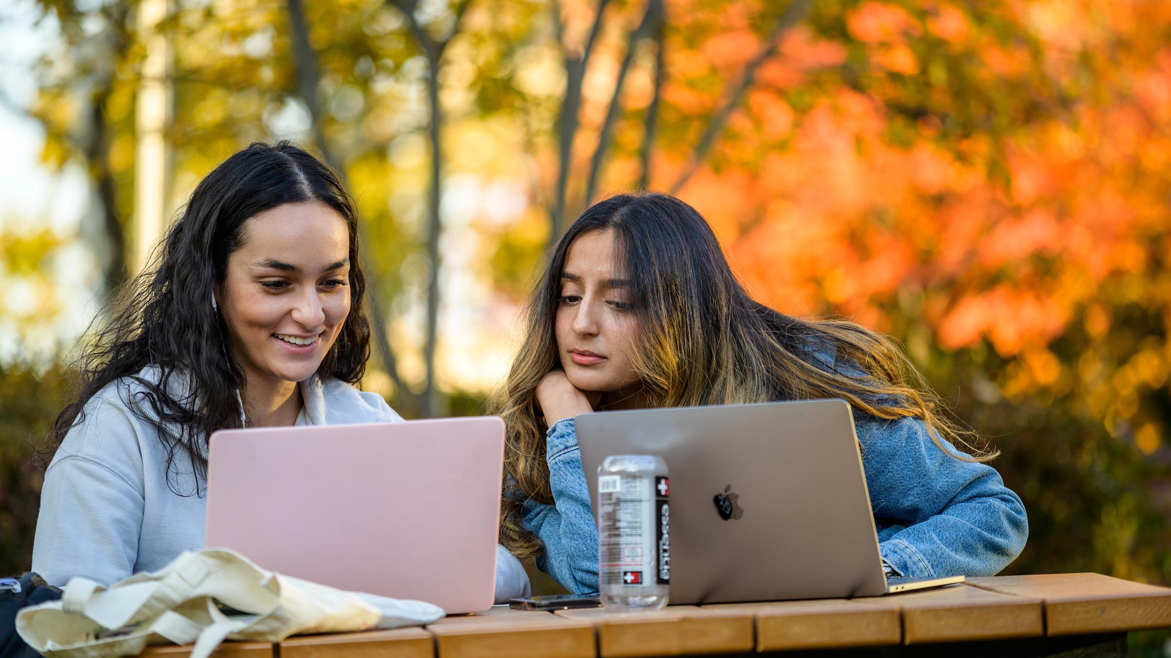 Students study together on laptops