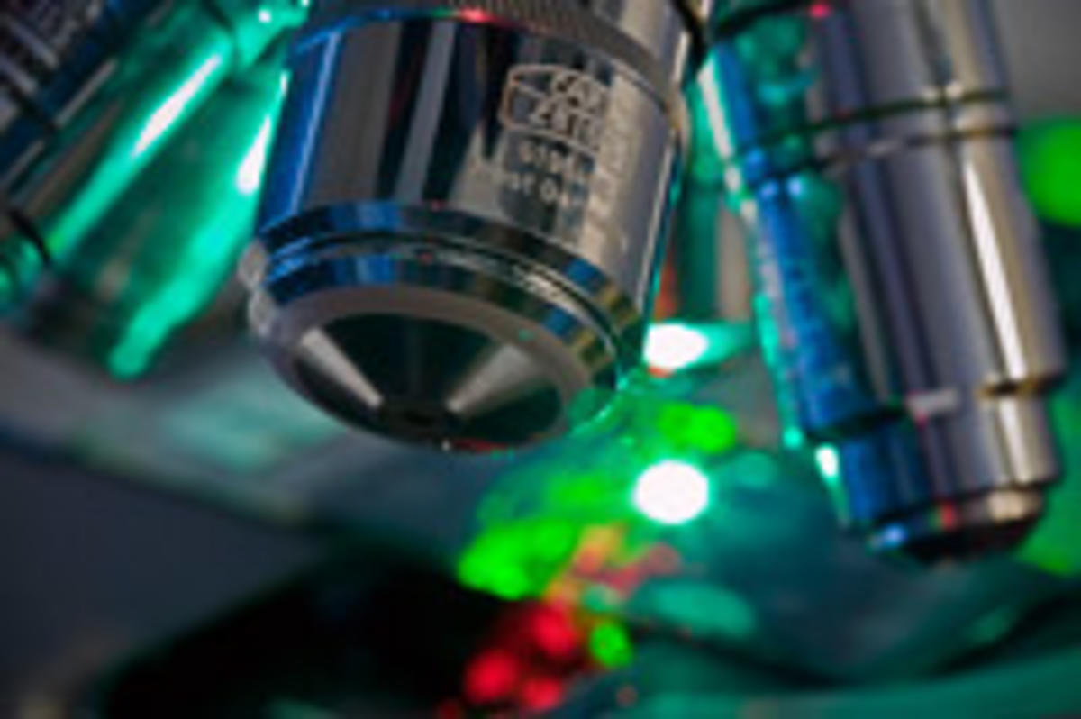 Microscope