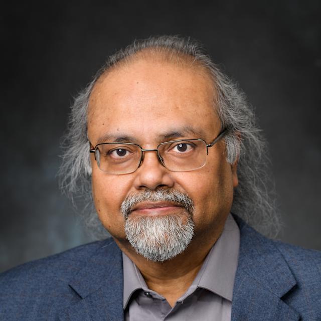 Professor Dibs Sarkar.