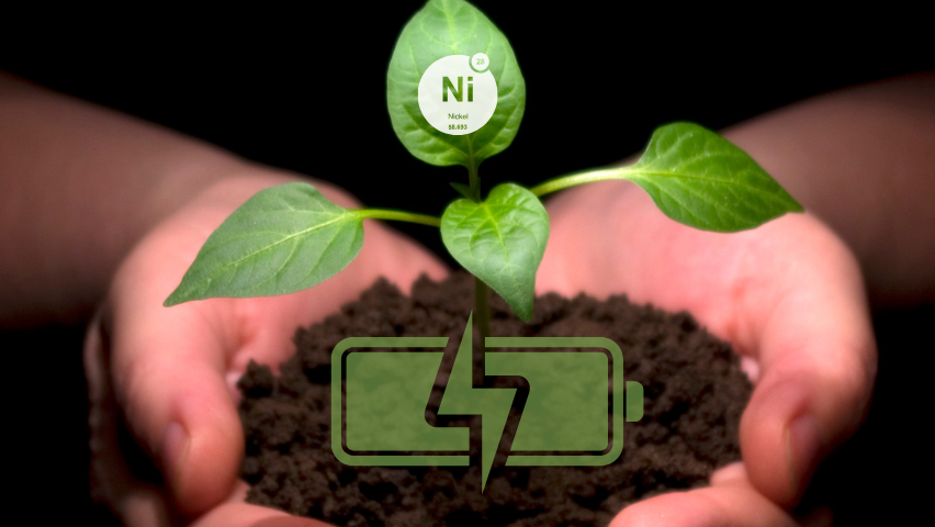 Two hands holding a small plant in soil with graphics of a charged battery and the "Ni" symbol for nickel overlayed on top.