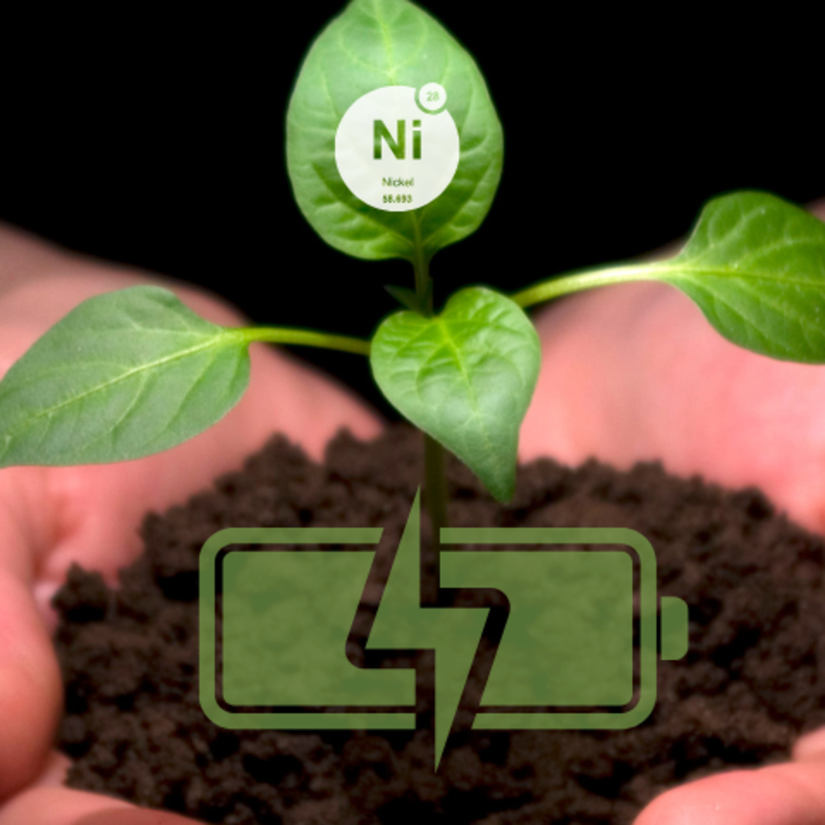Two hands holding a small plant in soil with graphics of a charged battery and the "Ni" symbol for nickel overlayed on top.