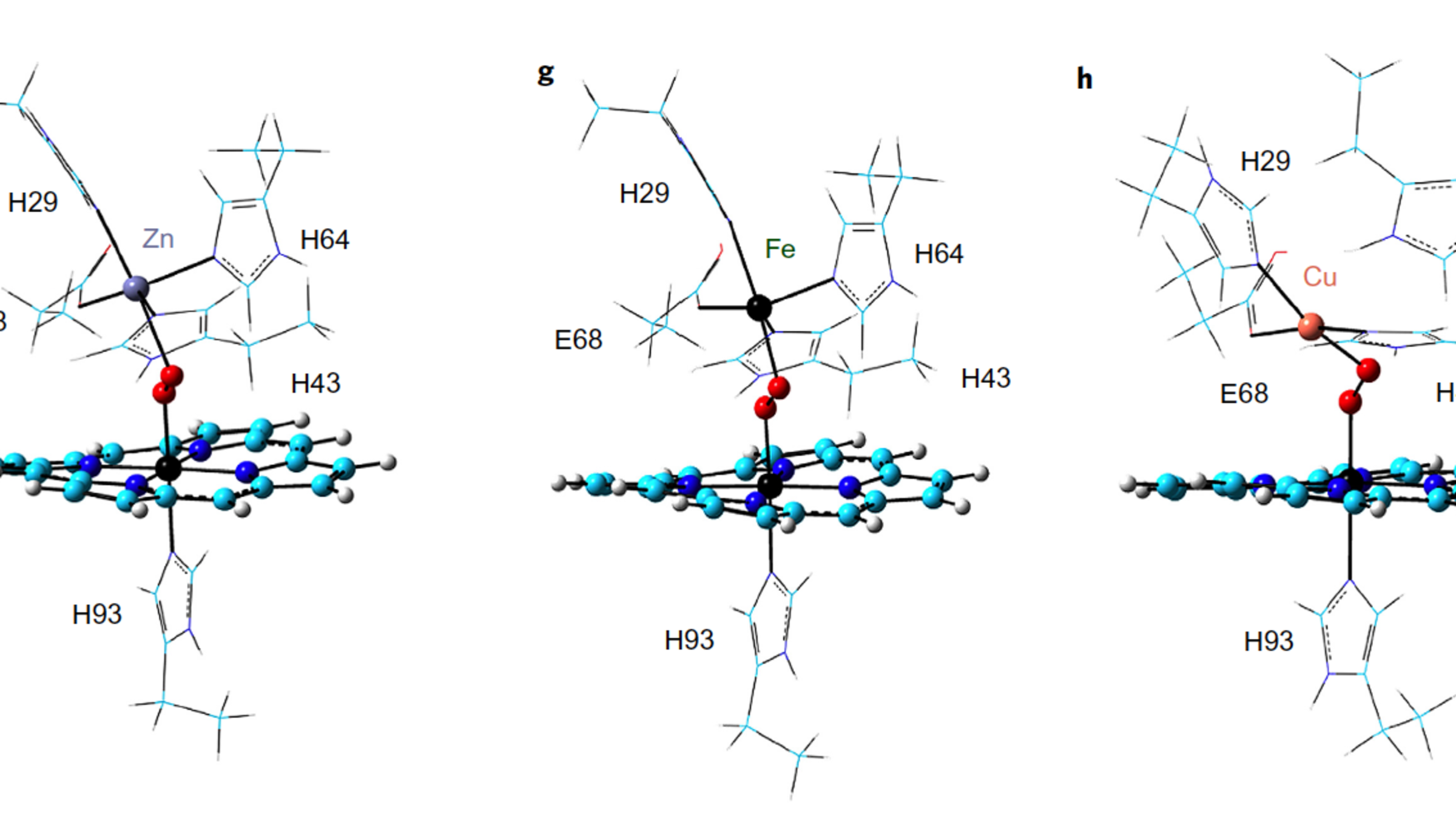 3074a439ce07652c1bf616c657ca406c