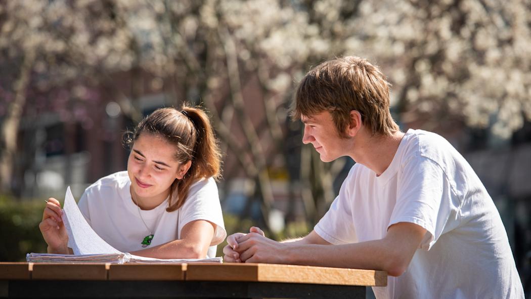Two students outdoors study at picnic table.