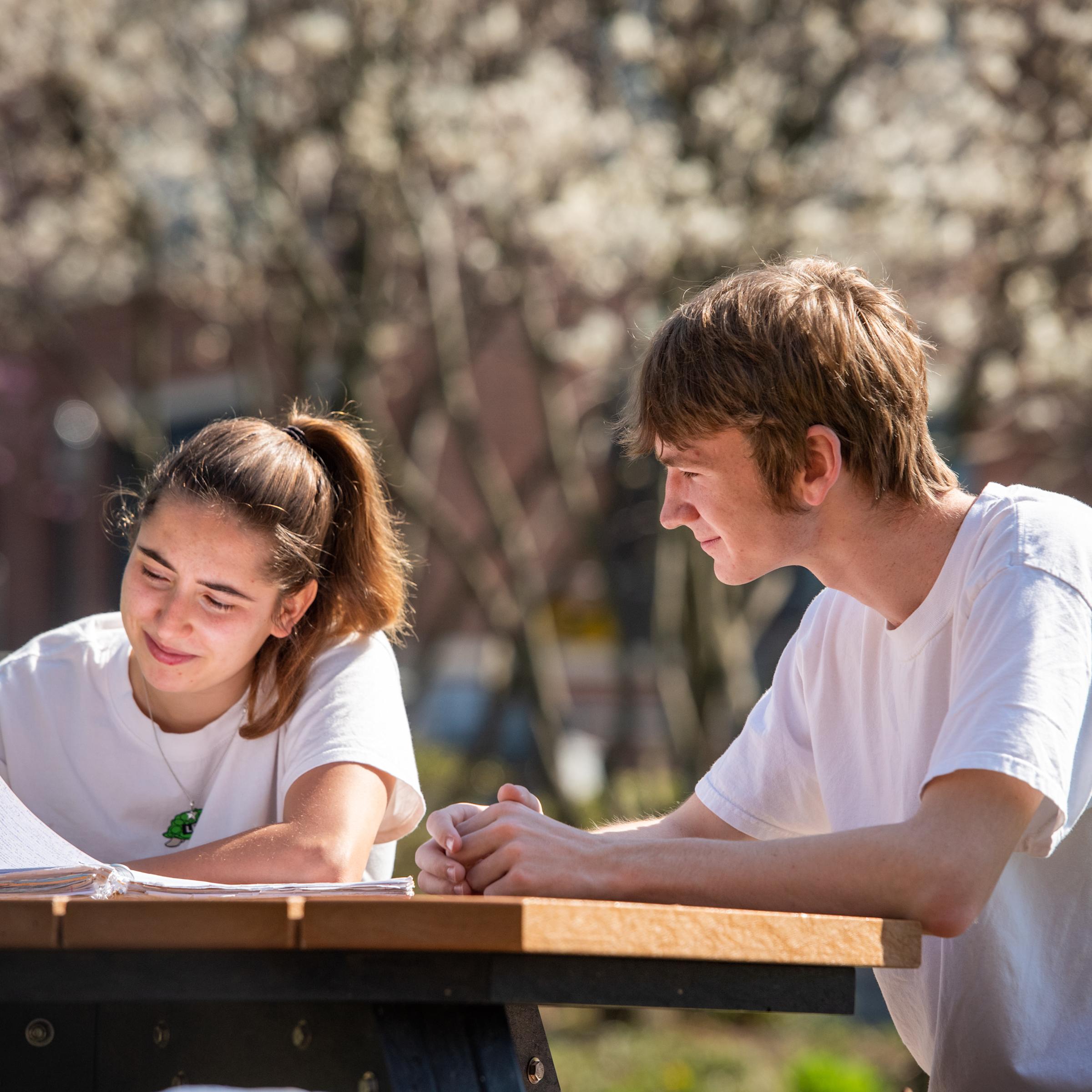 Two students outdoors study at picnic table.