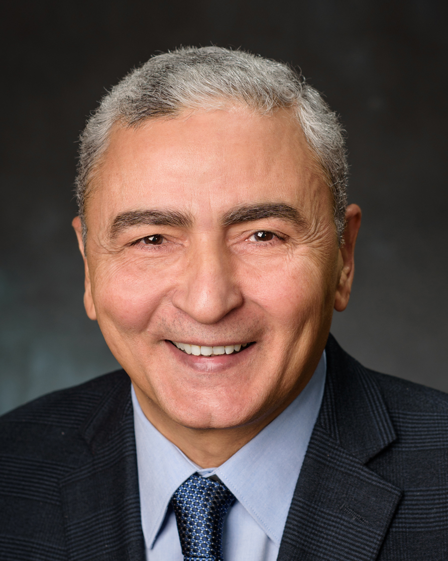 Elsayed Aziz (eaziz)